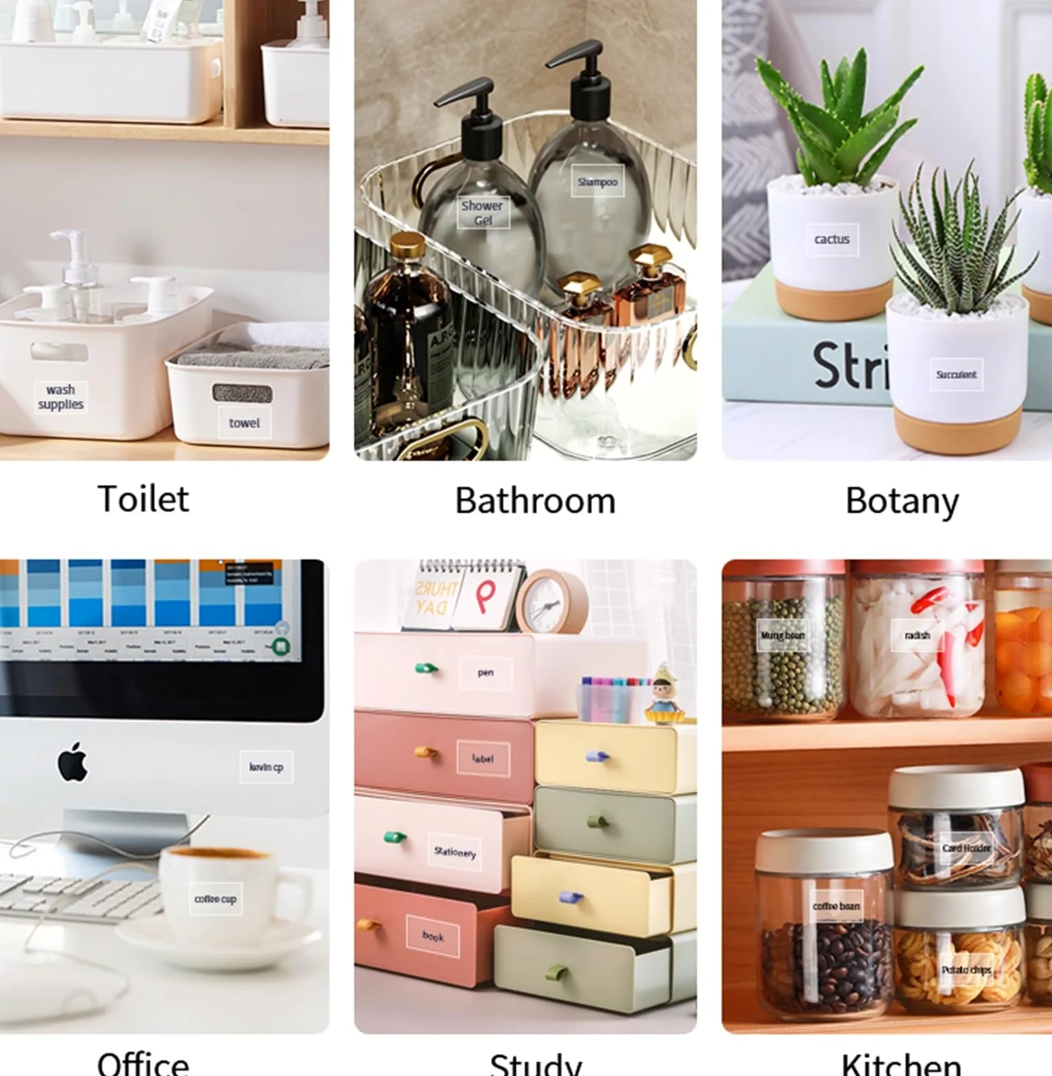 Etichettatrice - Stampante termica wireless Bluetooth multifunzionale per casa, cucina e ufficio