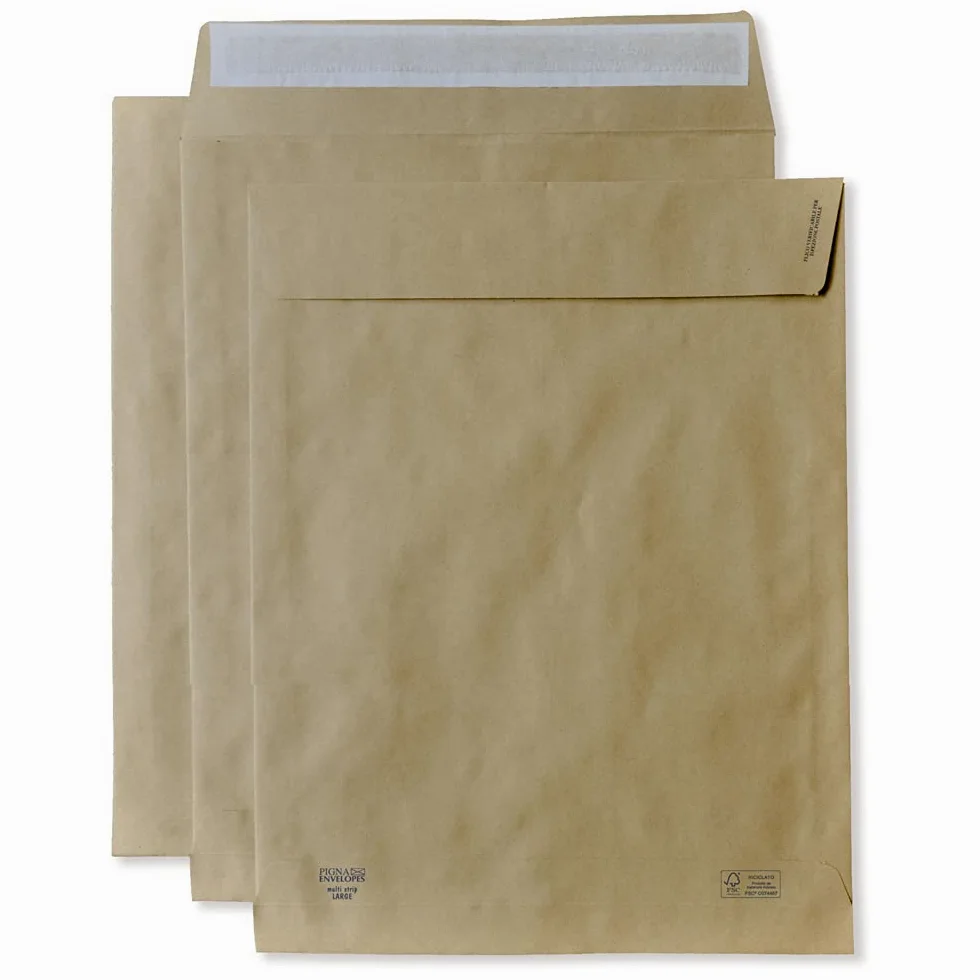 250 Buste a Sacco MULTI STRIP LARGE f.to 300x400 con soffietti laterali da 4cm e Fondo Autoformante in carta KRAFT AVANA riciclata FSC 120 gr. - Pigna Envelopes