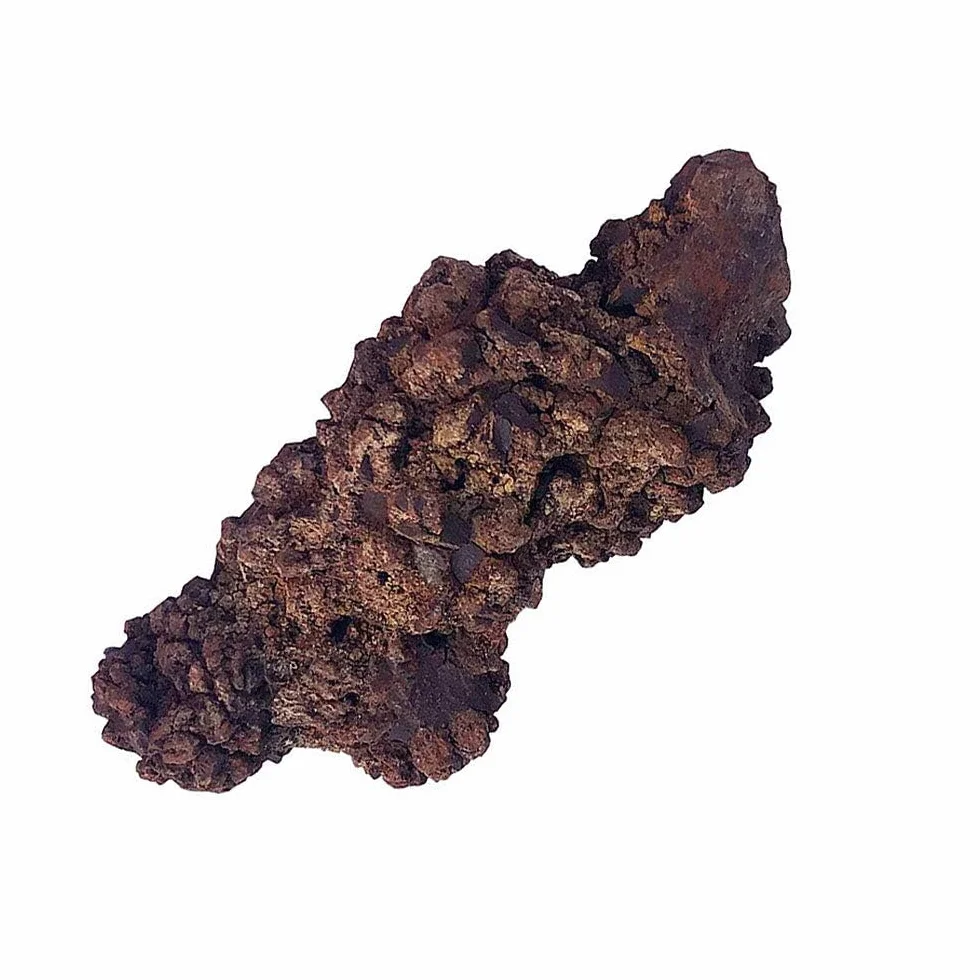 Coprolite Autentica pietra minerale fossilizzata preistorica naturale, esemplare di letame, lunghezza 5,1-10,2 cm, dinosauro coprolite feci, traccia feci fossili (scheda informativa inclusa)
