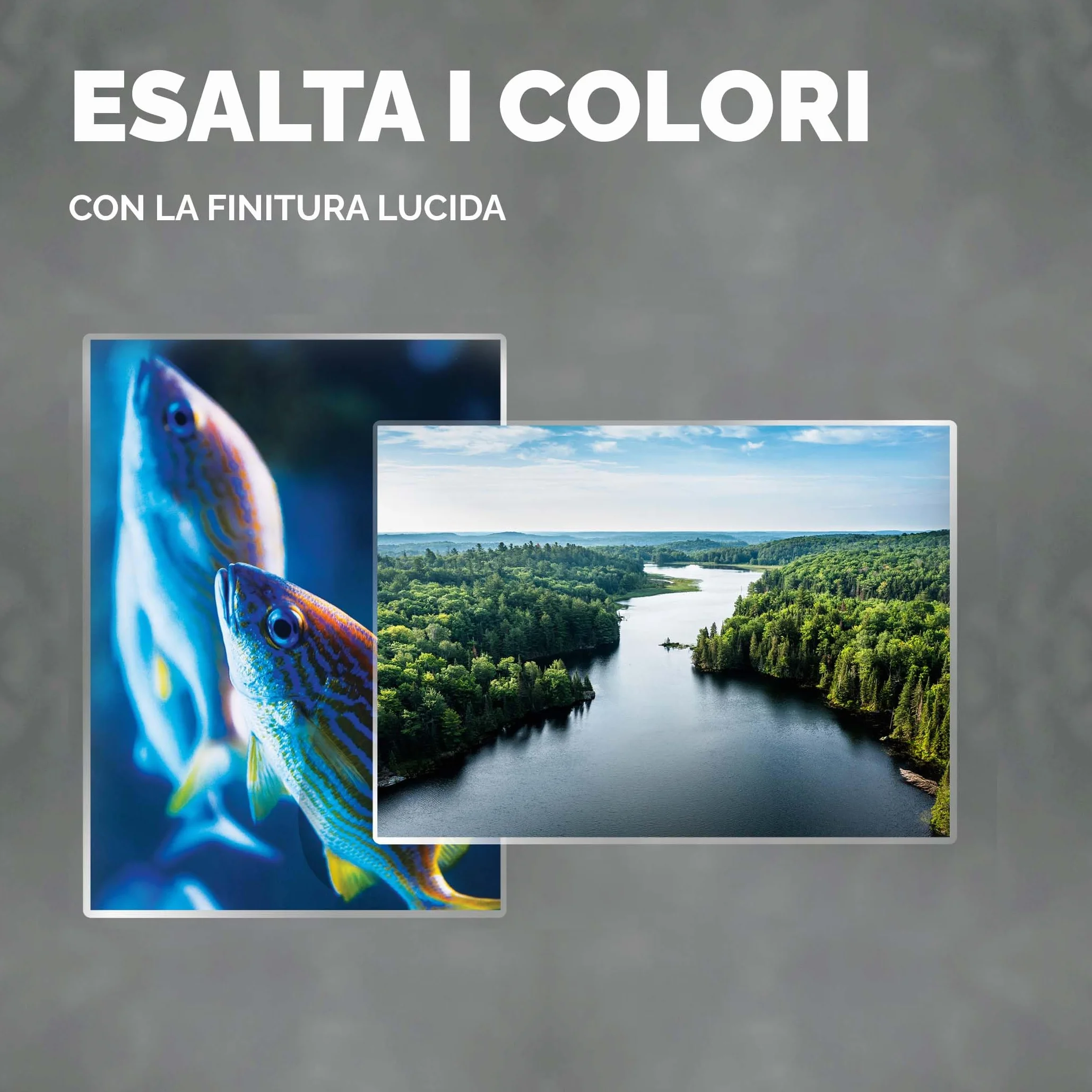 Fellowes Pouches per plastificazione 65x95mm 250 micron 100 pezzi lucida