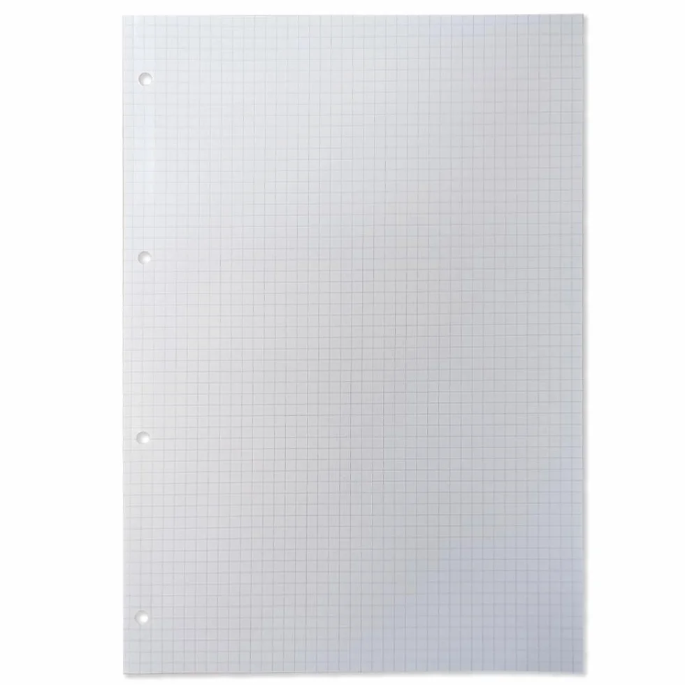 BM BeMore Ricambi Bandup A4 Con Banda Rinforzata Rigatura 5Mm Quadretti Con Margini 40 Fogli Carta 90G/Mq