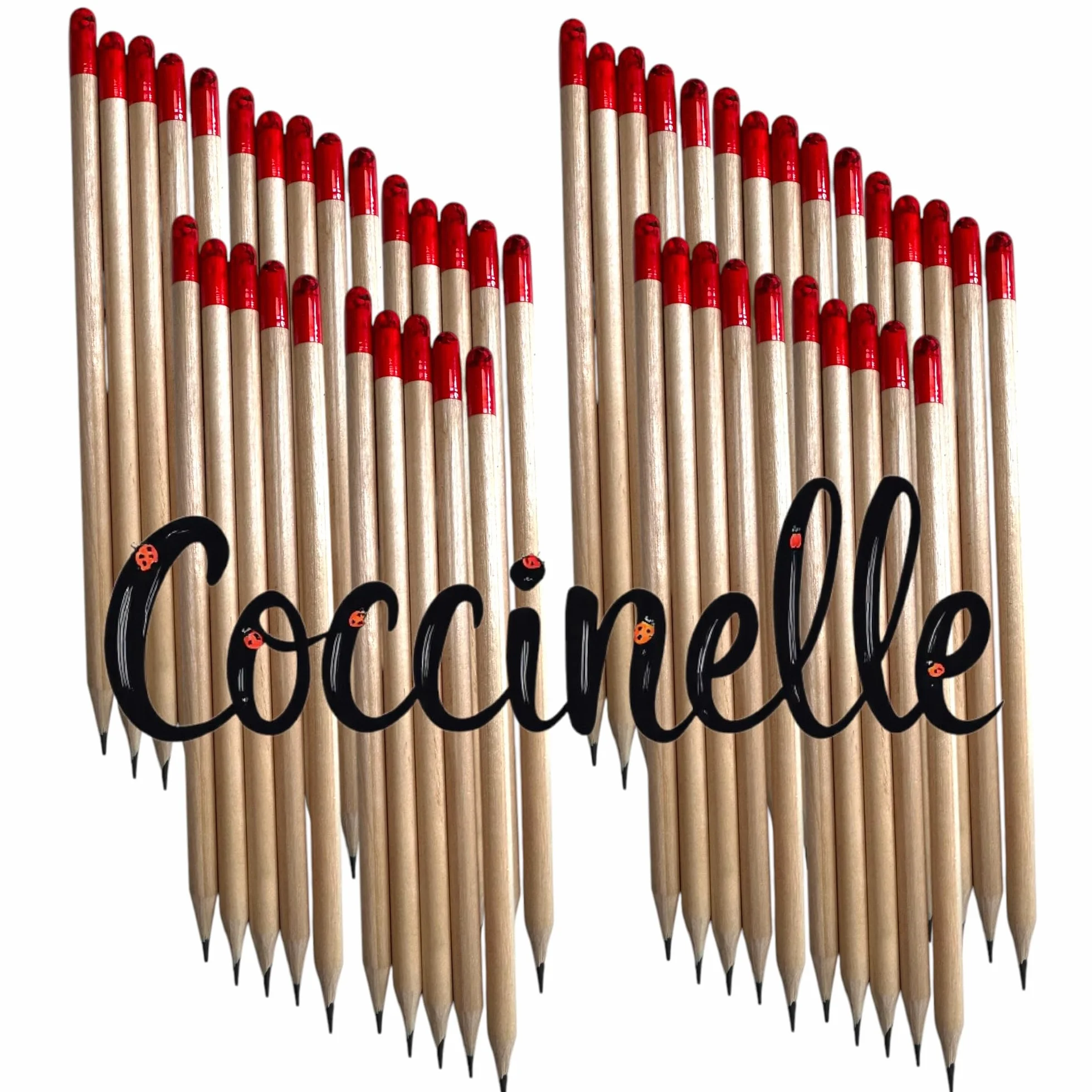 Generico VALUE PACK MATITE PIANTABILI - SENZA CARTONCINO (100 PEZZI fiori misti che attirano le coccinelle)