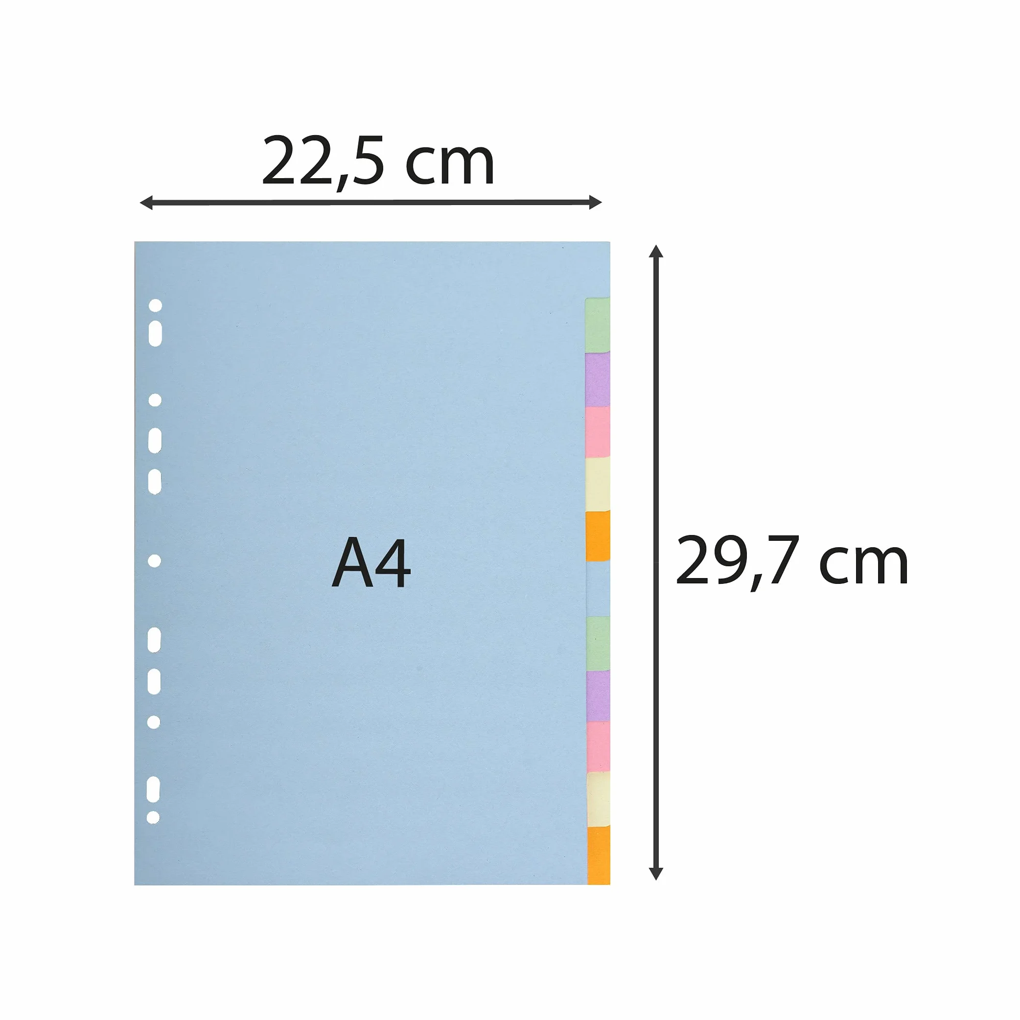 Exacompta Divisori in cartoncino riciclato pastello 170g/m2 A4 22,5x29,7 cm 12 linguette neutre
