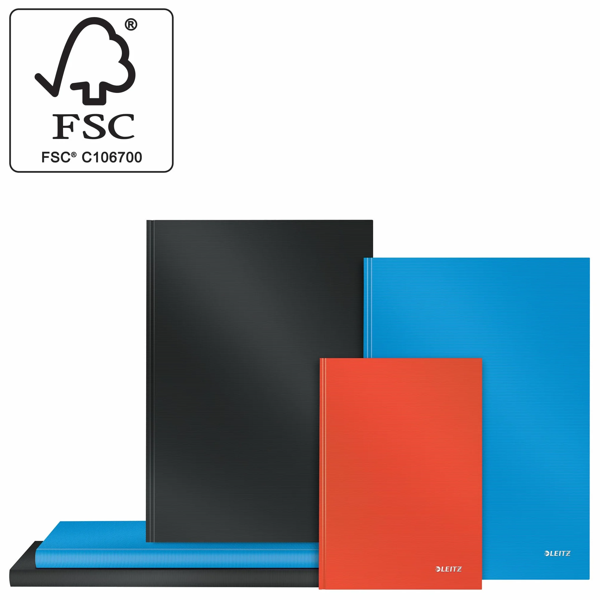 Leitz Quaderno a righe A4 160 pagine Solid nero