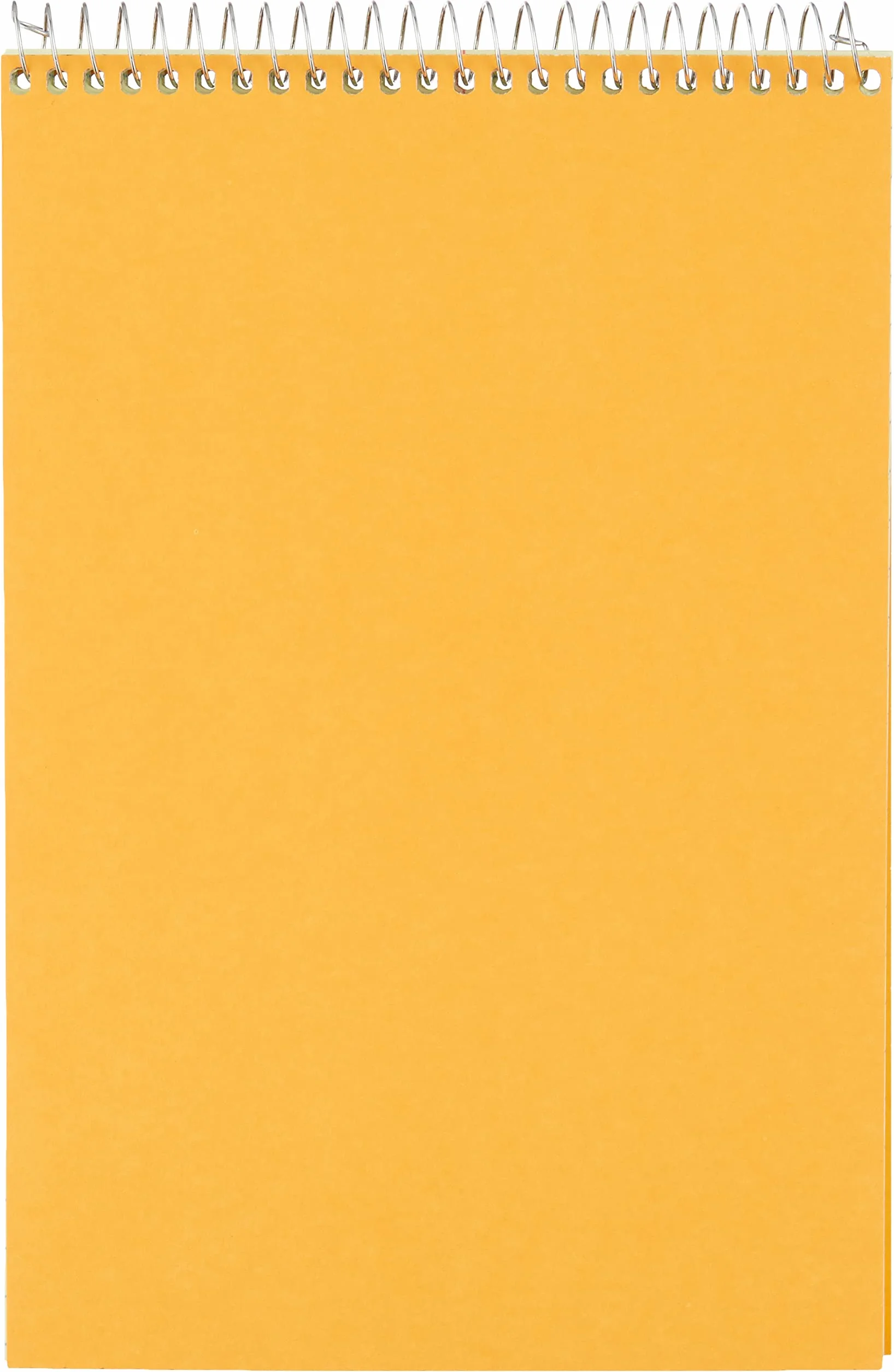 National Brand Steno 36646-12 - Taccuino con copertina marrone, carta verde Eye-Ease, a righe, 15,2 x 22,9 cm, 12 quaderni da 60 fogli ciascuno