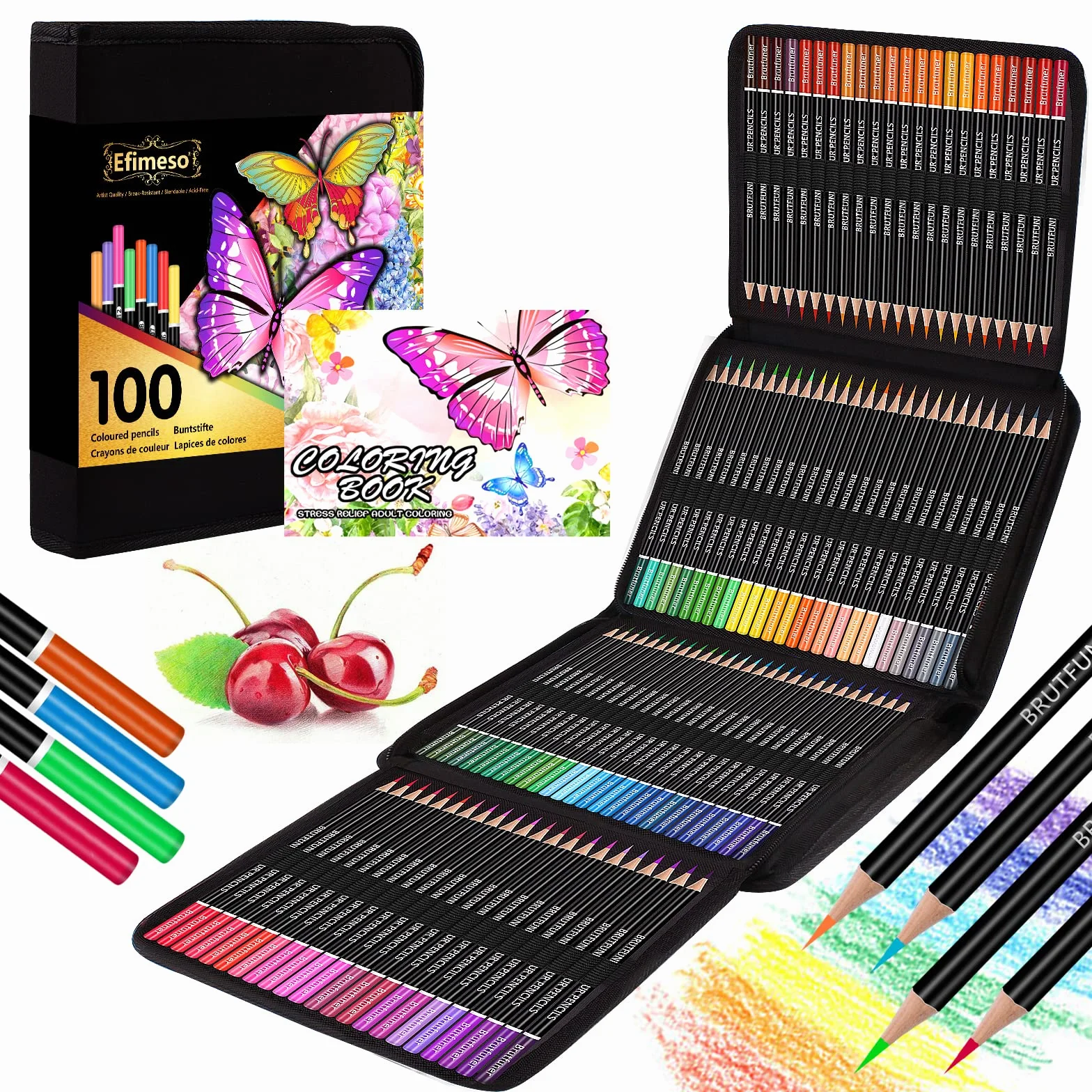 Efimeso 100 Matite Colorate Professionali con Custodia Nera per Disegno e Schizzi