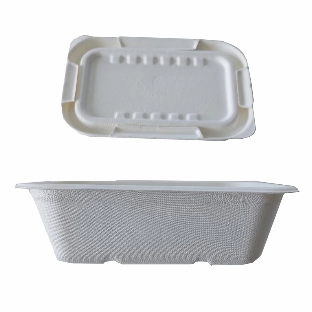 Vaschette in cellulosa 750-1000 ml con coperchio compostabili 100% take away bio 50 pz