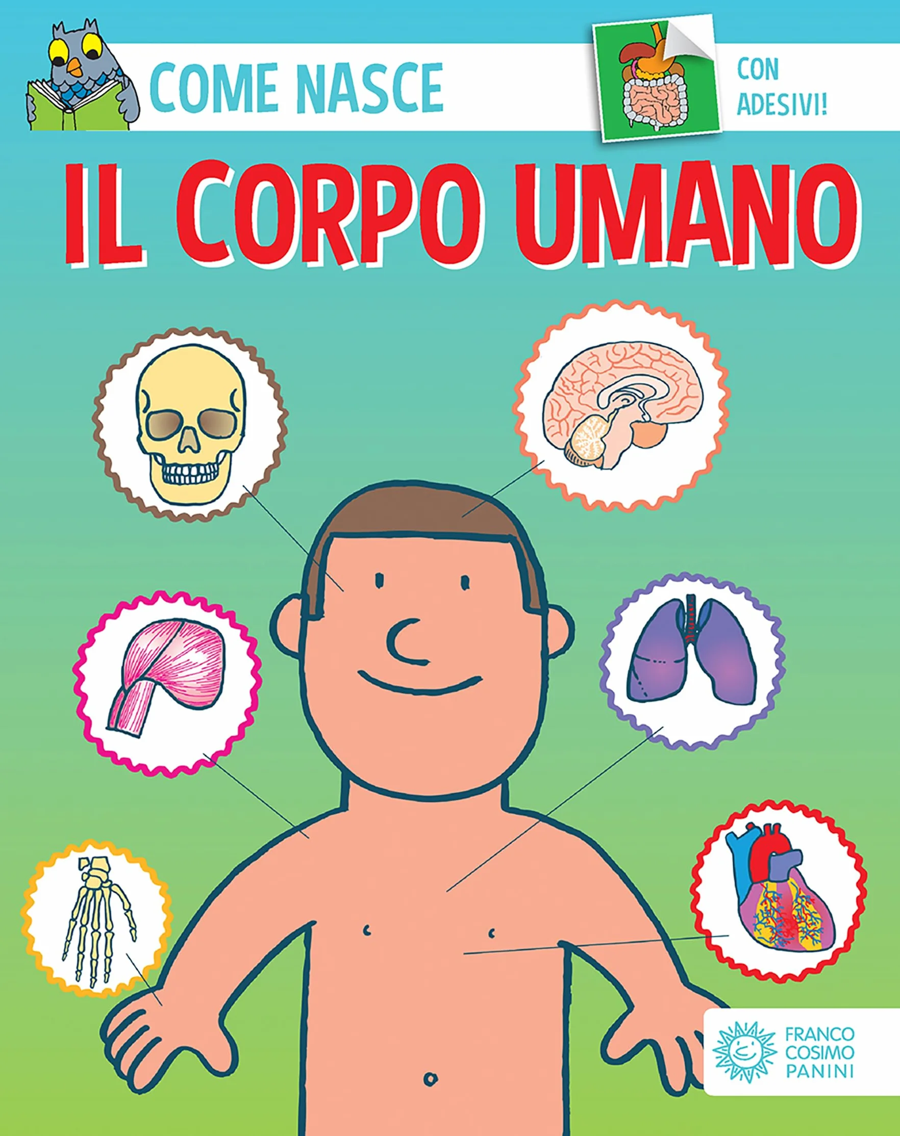 Il corpo umano. Ediz. a colori. Con Adesivi