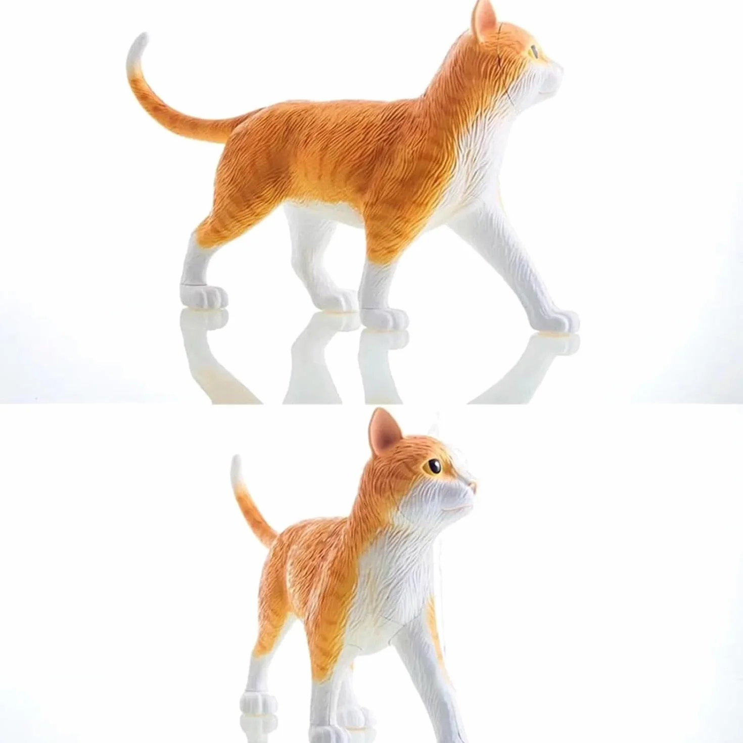 Modello Anatomico di Gatto 4D 28 Pezzi Kit di Modelli di Anatomia dello Scheletro di Gatto Arancione 4D Il Modello, Lungo 30 Cm, Contiene 28 Organi E Parti del Corpo Staccabili