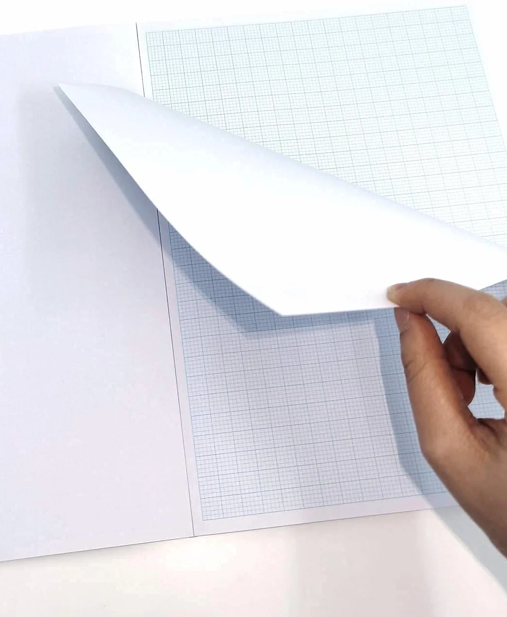 Plastoreg Blocco carta millimetrata A4 50 pagine 95g/m² griglie blu 1/5/10mm disegni tecnici