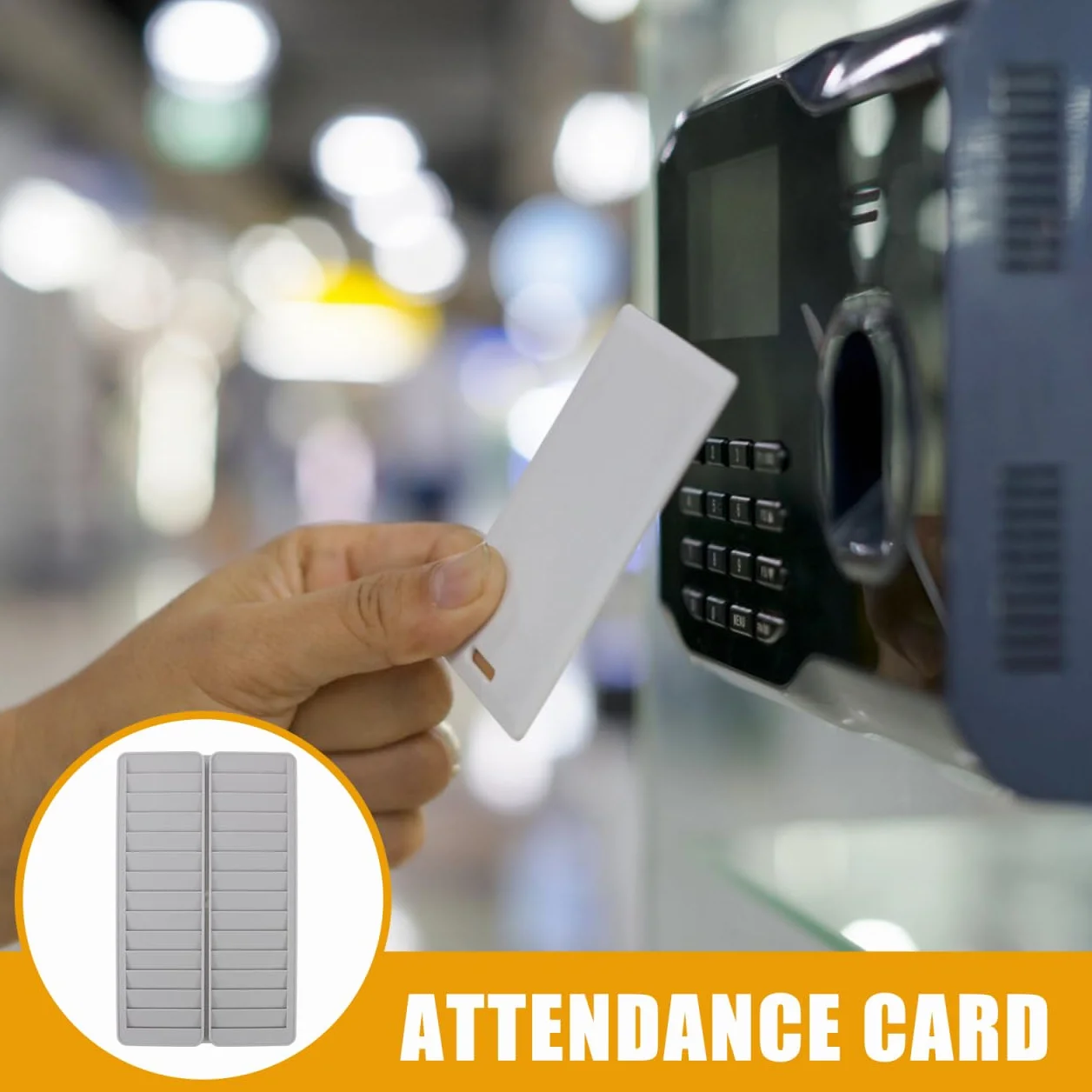 LALAFINA Porta Tessere Da Parete 28 Slot Porta Badge Ufficio Carte Di Credito in Pp Supporto Per Registratore Di Presenze In Fabbrica Contenitori