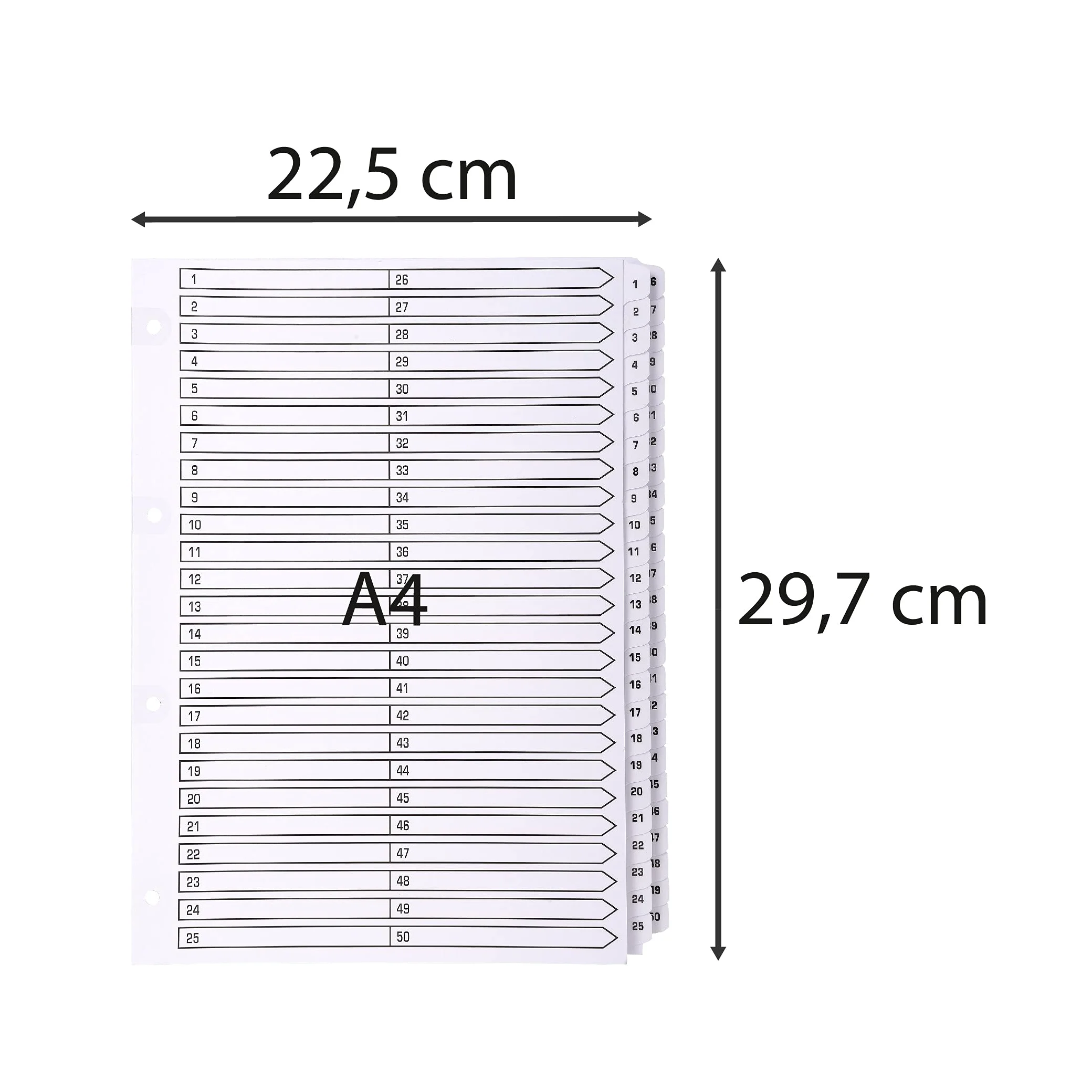 Exacompta 4 divisori cartoncino bianco 50 tacche numeriche 1-50 A4