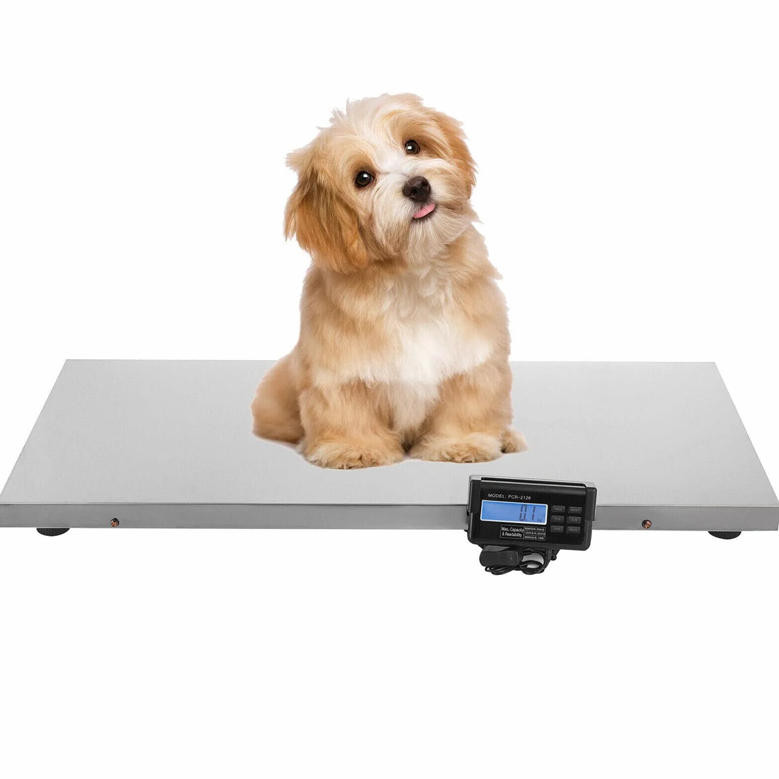 Bilancia veterinaria da pavimento, per animali, per cani, per gatti, veterinaria, per piattaforma, per carichi pesanti, 300 kg, 103 x 53 cm