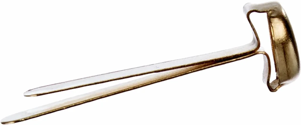 Fermacampioni Leone Dell'Era N°5 25 mm Scatola appendibile