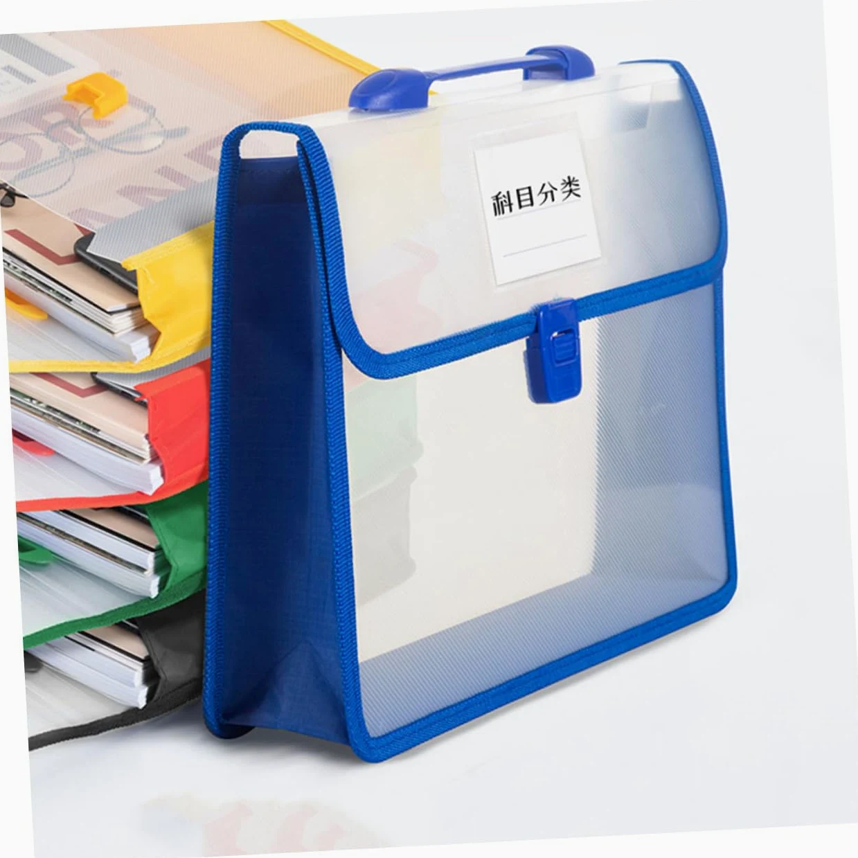 Cartelle Portadocumenti A4 Design Verticale Elegante in Pp Resistente Set 5 Pezzi Grande Capacità Manico Pratico per Ufficio, Scuola e Uso Business