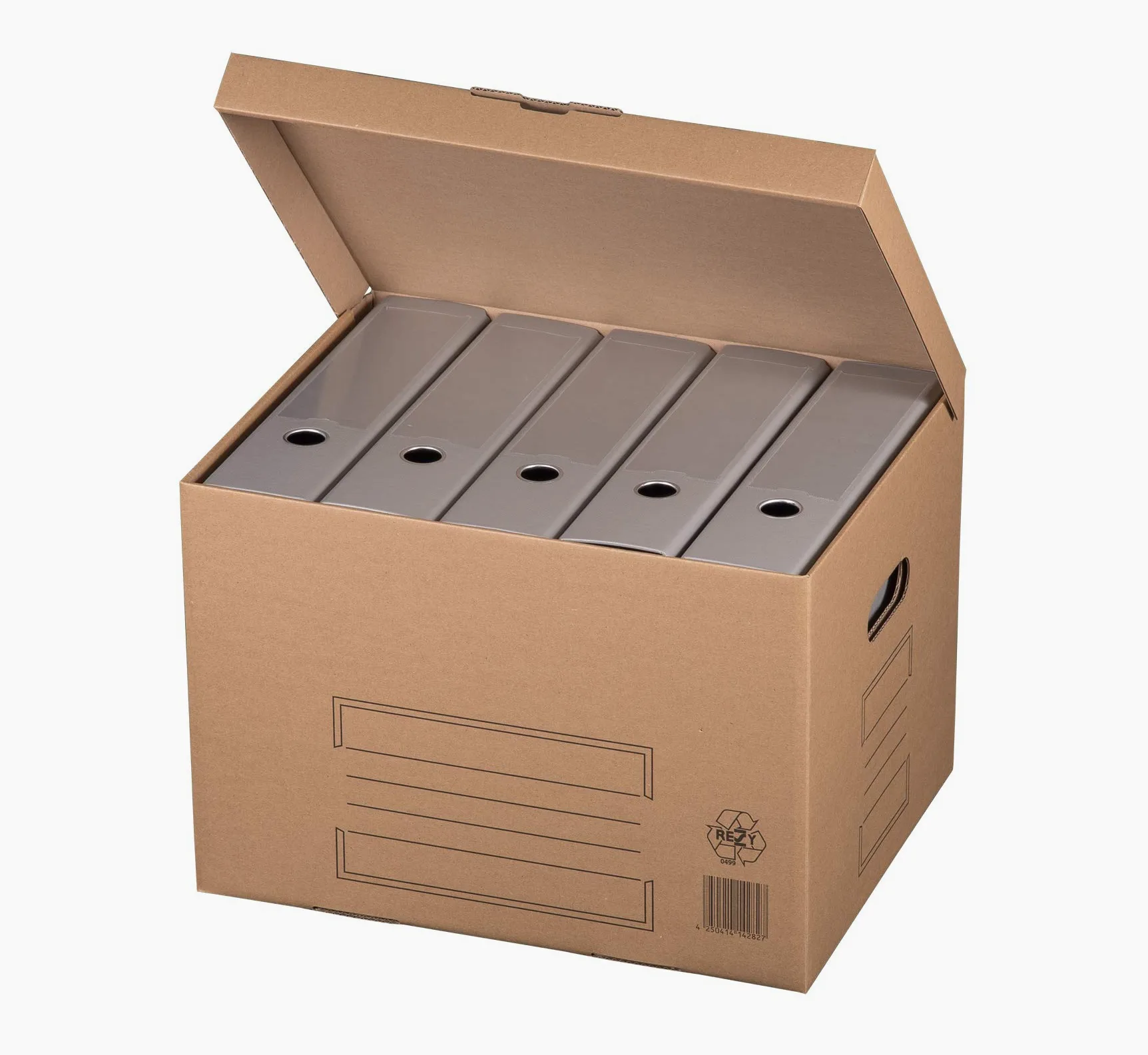 karton-billiger Scatole per Archivio, Cartone Archivio con Coperchio Ribaltabile, 10 Pezzi