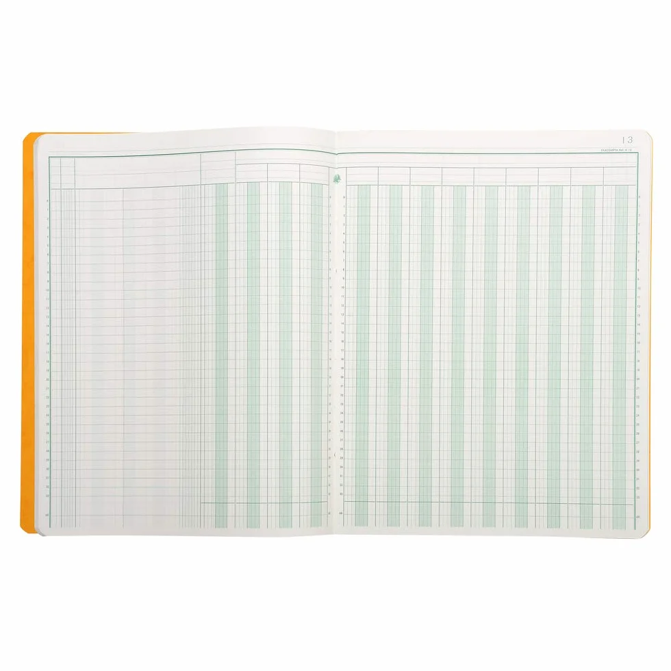 Exacompta - Rif. 4130E - 1 puntura a 13 colonne su 2 pagine, 33 righe, 80 pagine fogliate, formato 320 x 250 mm, copertina in carta lucida certificata FSC, 4 colori casuali, giallo, blu, rosso, verde
