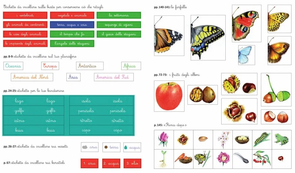 Le mie attività Montessori. Ediz. illustrata