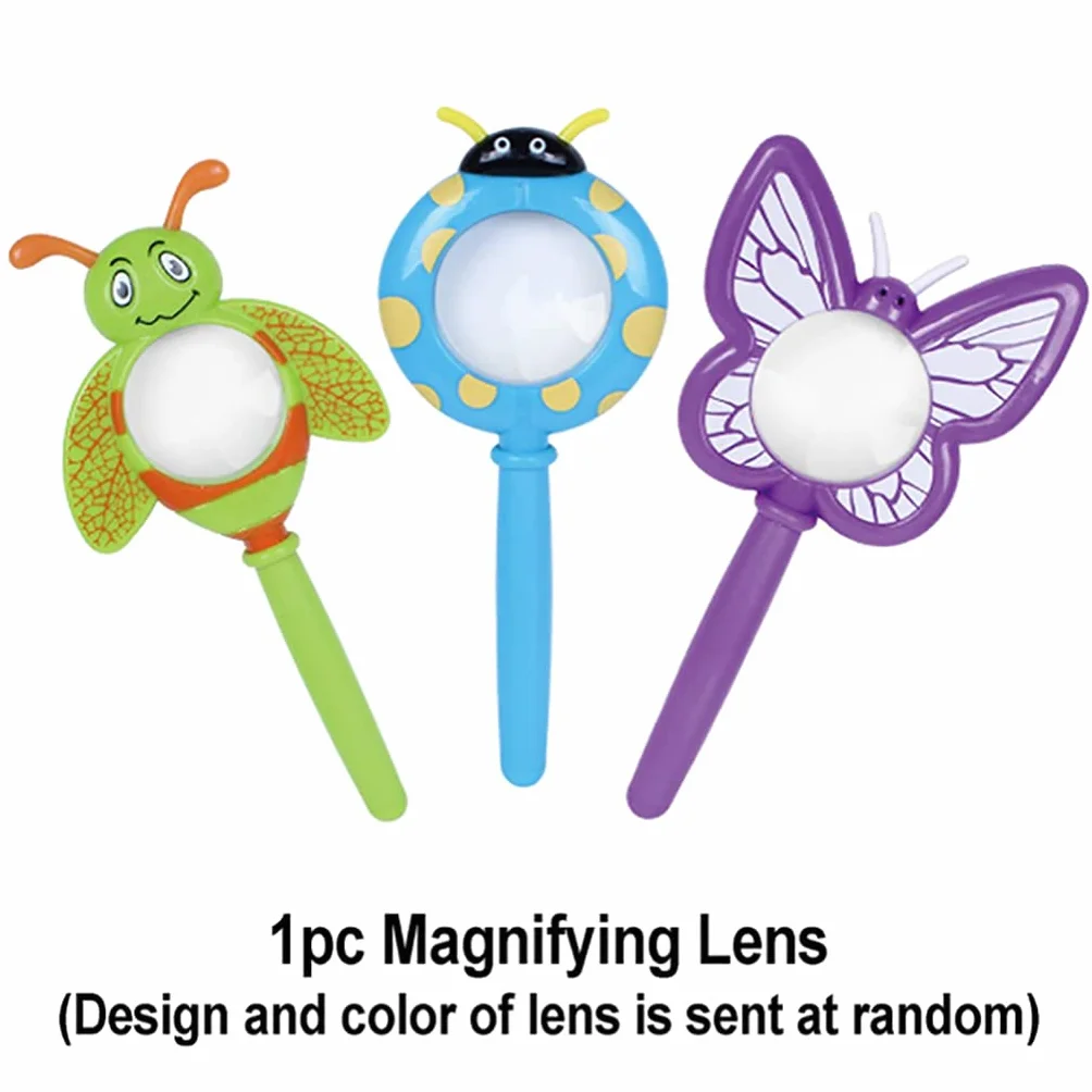 Specie di Insetti Campione Resina Set,Insetti in Resina,Giocattoli Animali Esemplare Fermacarte Collezione Bambino,Regalo di Compleanno,Giochi investigativi,Arredamento per la casa