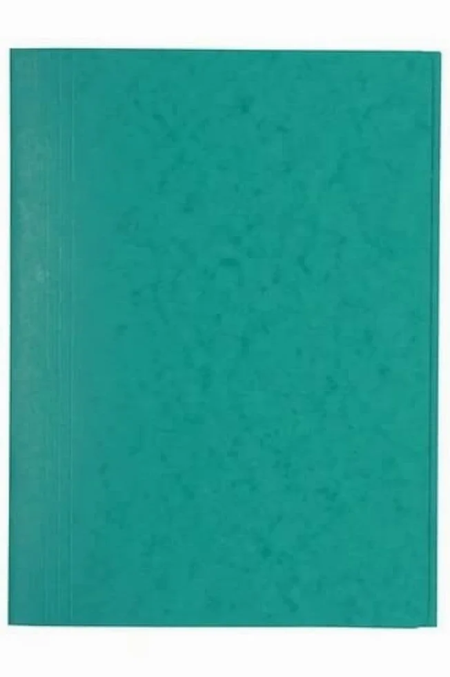 Exacompta - rif. 56415E - cartone da 25 cartelline senza elastico a 3 lembi in carta lustrée 390g/m² - cartelline certificate FSC® -24X32cm per documenti in formato A4 - colore verde