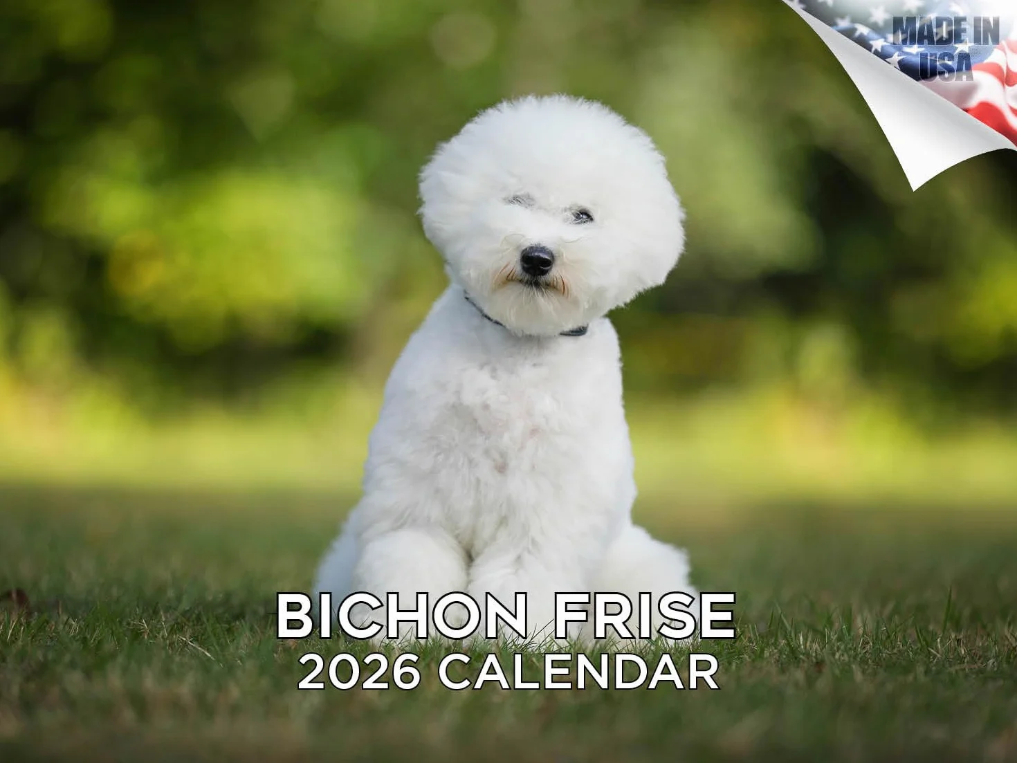 Calendario 2024 2025 Bichon Frise, calendario mensile da parete con razza di cane, 30,5 x 45,7 cm, aperto, carta spessa senza sbavature, regalo, calendario per insegnanti accademici, organizzazione e
