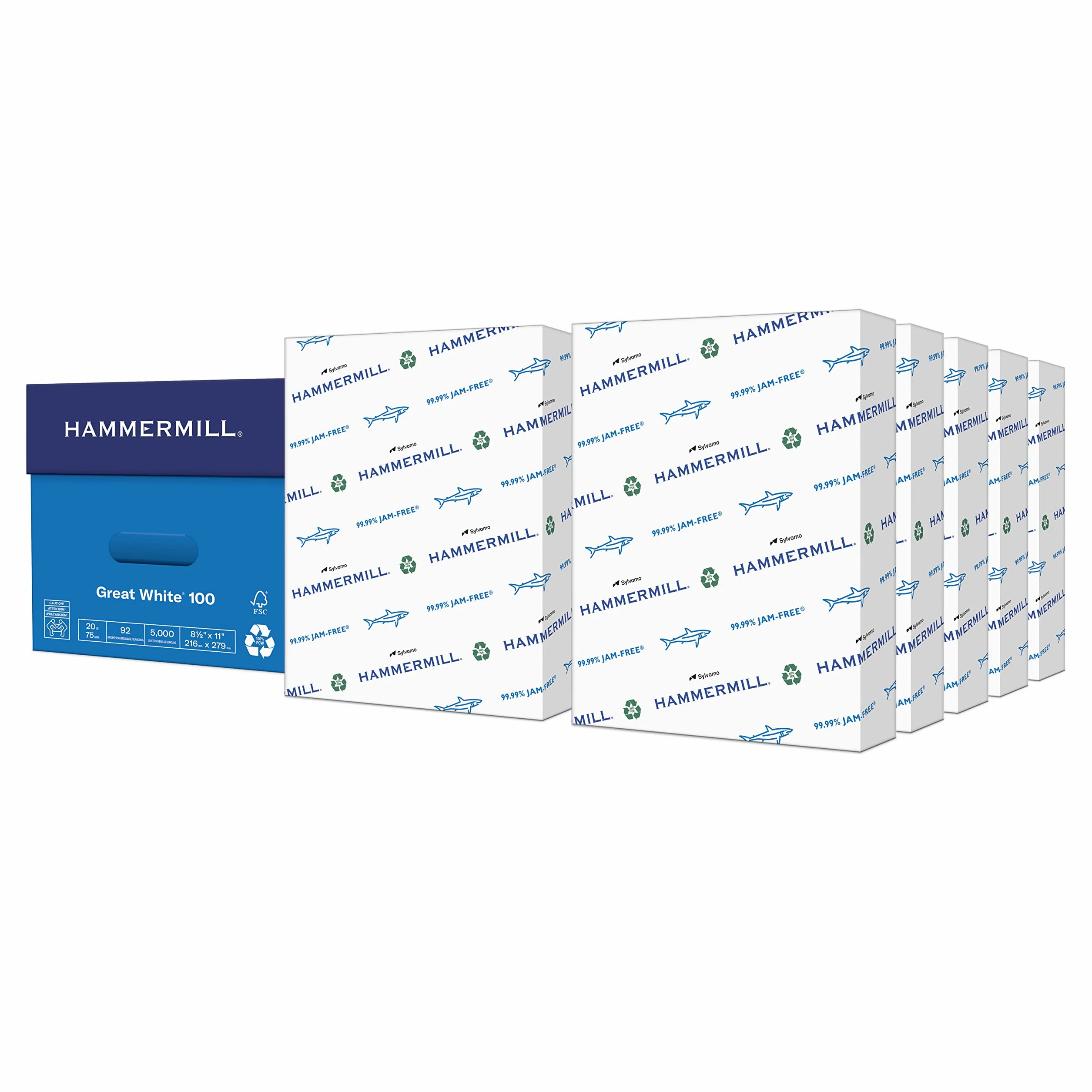 Hammermill Paper, Great White 100% riciclato per stampante, 9,1 kilogram, 8.5 x 11 Lettera 5,000 Sheets White