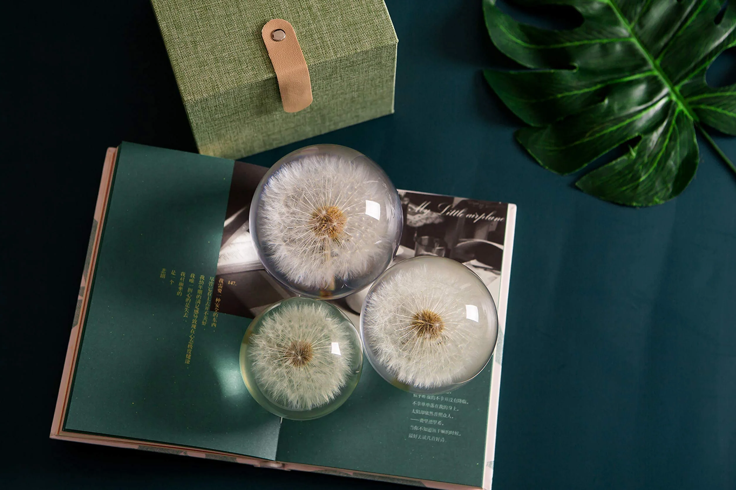 WEedsy Paperweight Dandelion Dream Ball. Palla di Cristallo dei Desideranti. Paperweight Unico Fatto di Dente di Leone. Il Regalo Perfetto. (9 cm) diametro-9cm