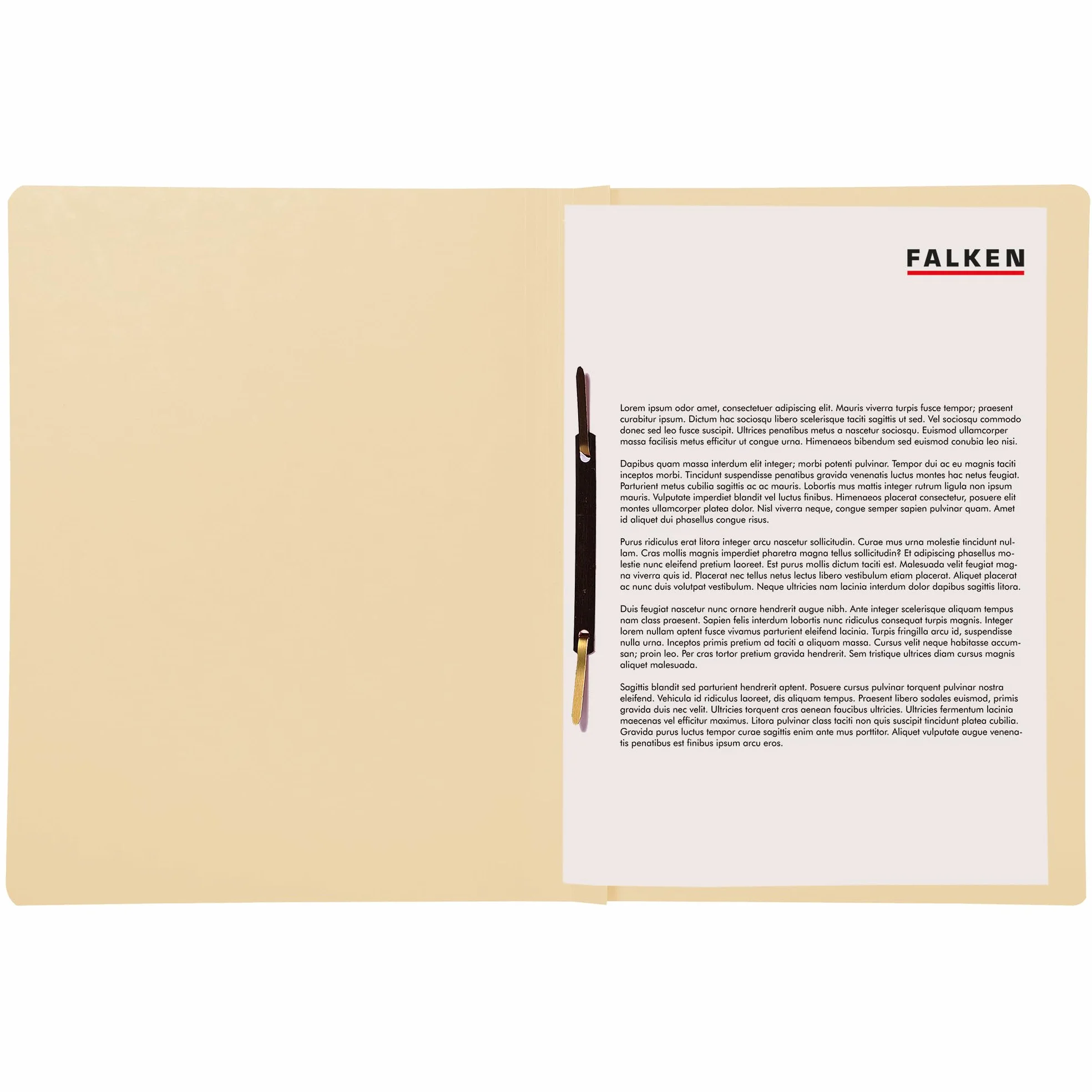 Falken Cartelline in carta riciclata, in formato DIN A4, confezione da 100 pezzi 100er Pack camoscio