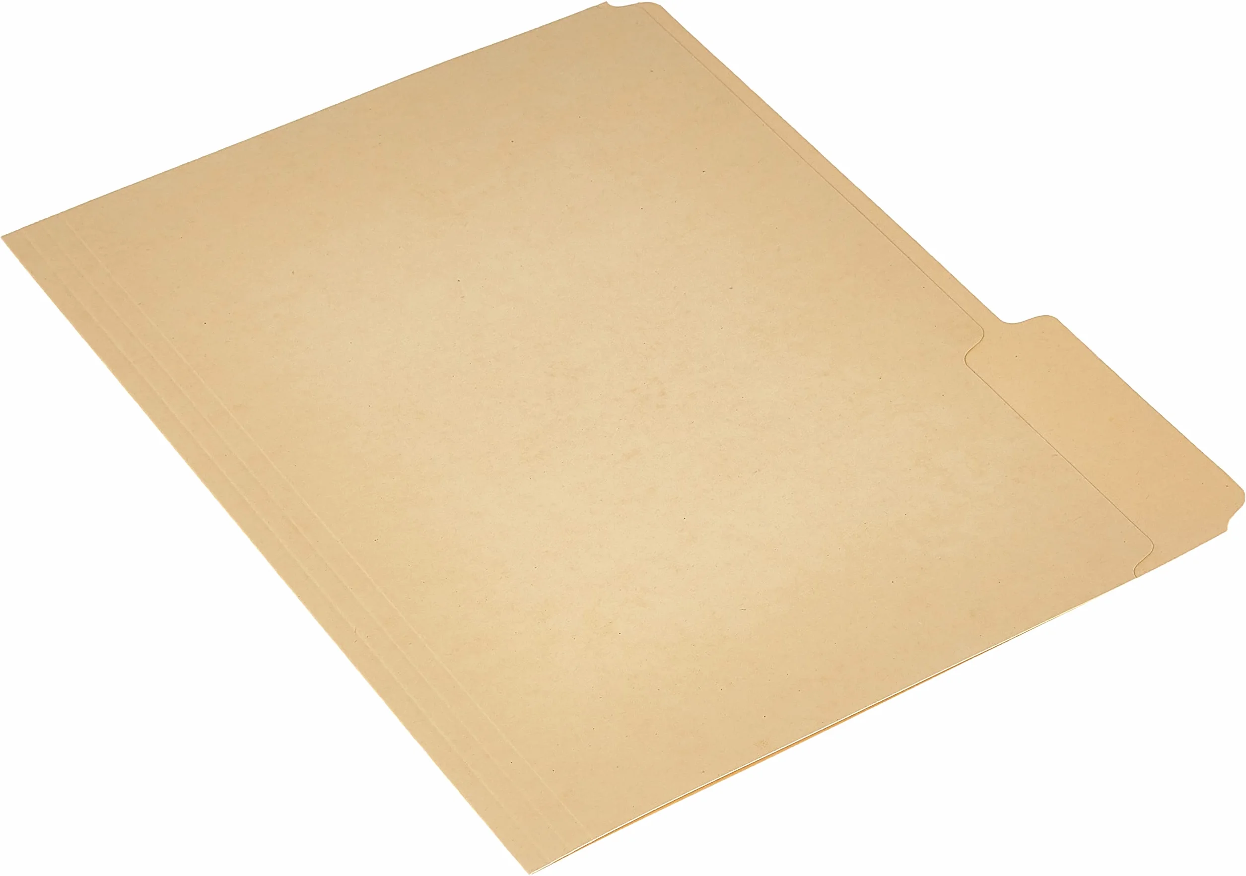 EarthWise by Pendaflex - Cartelline 100% riciclate, formato lettera, taglio 1/3, 100 per confezione Formato Letter Letter Verde standard.