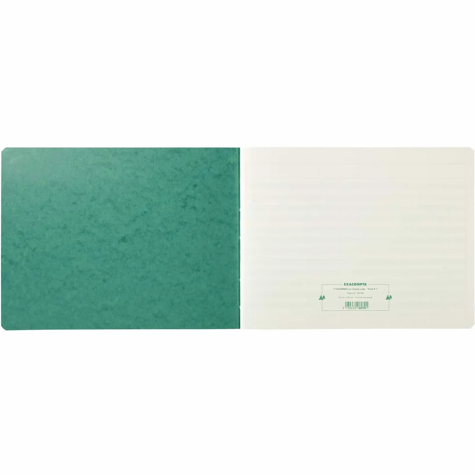 Exacompta 6110E – 25/32 11 colonne 80 pagine 7 colonnes