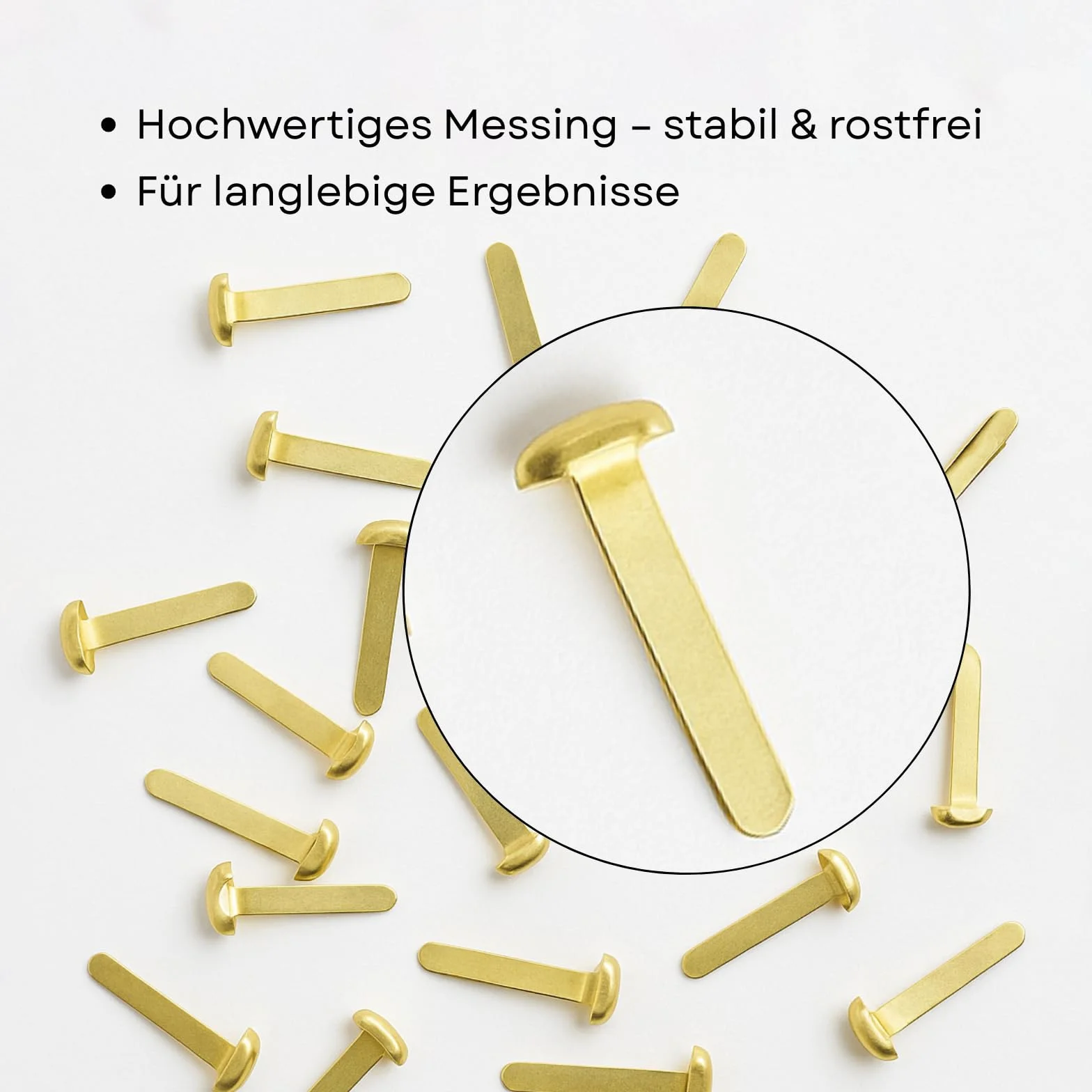 Clip a testa tonda Westcott E-10592 in ottone 13 mm 100 pezzi