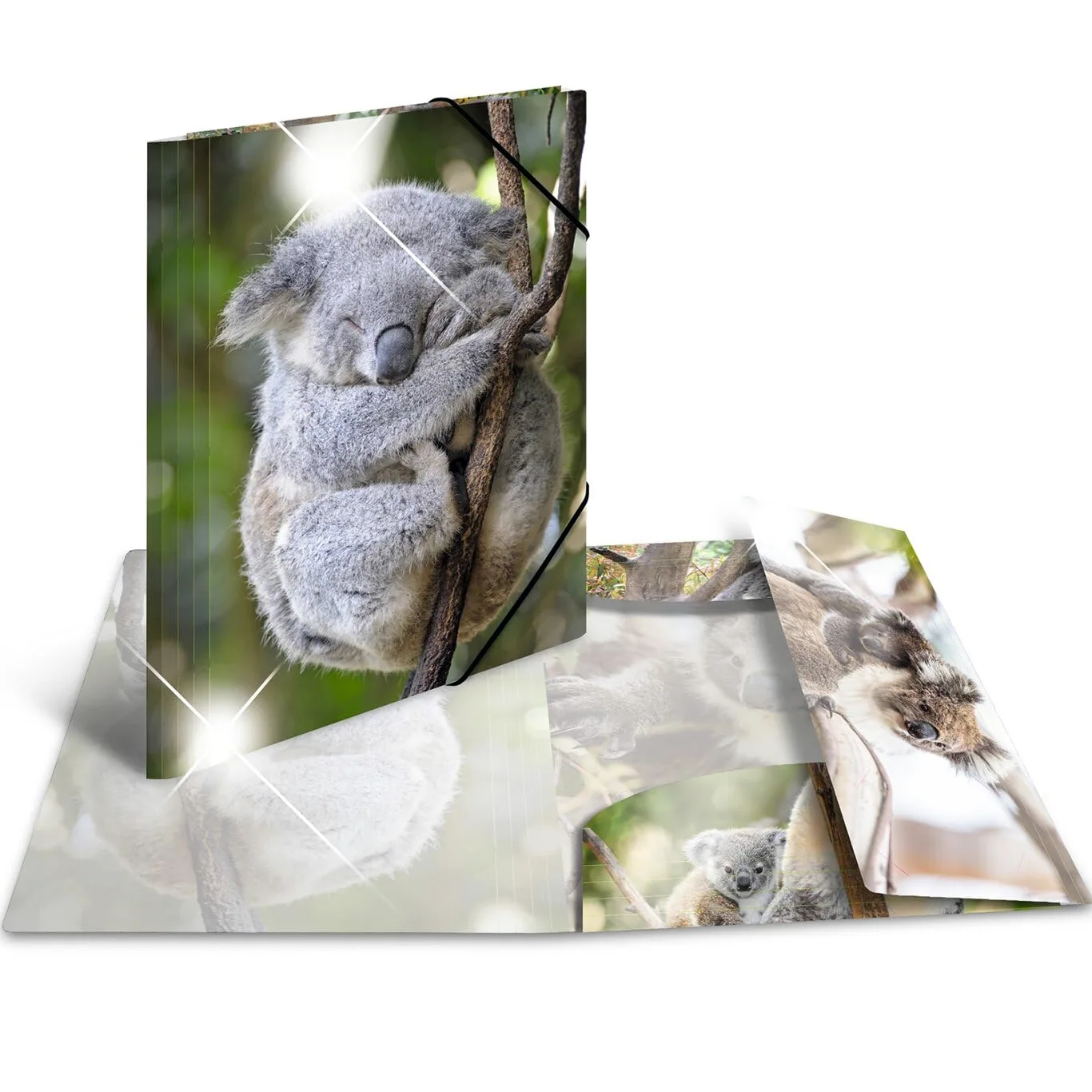 HERMA Set di 10 cartelline portadocumenti in plastica con motivo animale, effetto lucido, elastico, alette interne e stampa interna per ragazzi e ragazze
