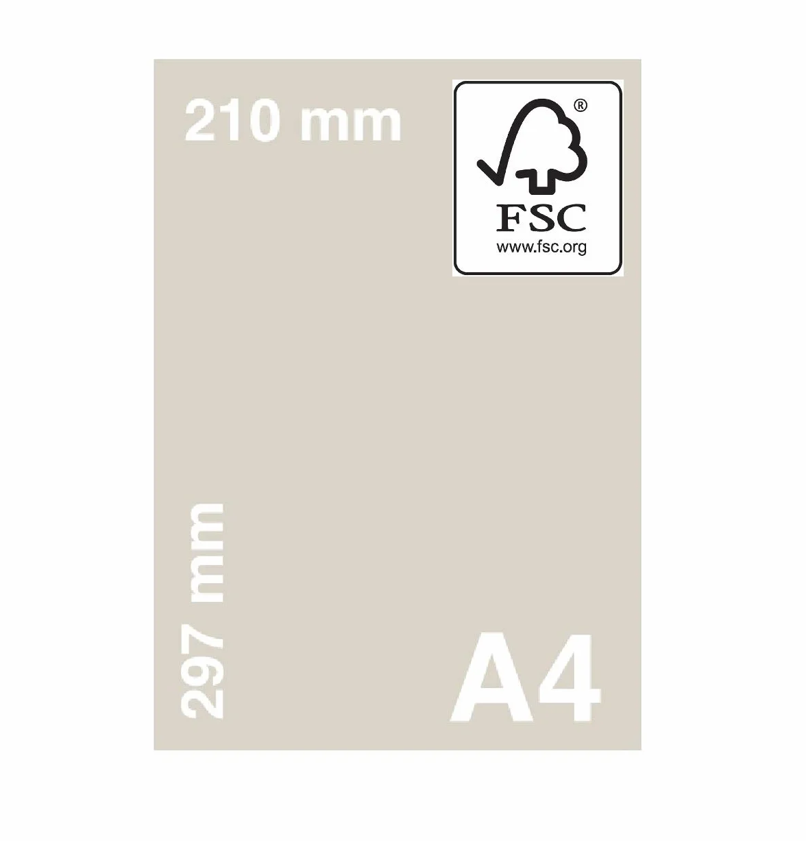 A4 grigio chiaro con foglio di carta colorata 80 gsm stampante fotocopiatrice risma 210 mm X297 MM 500 Sheets Grey