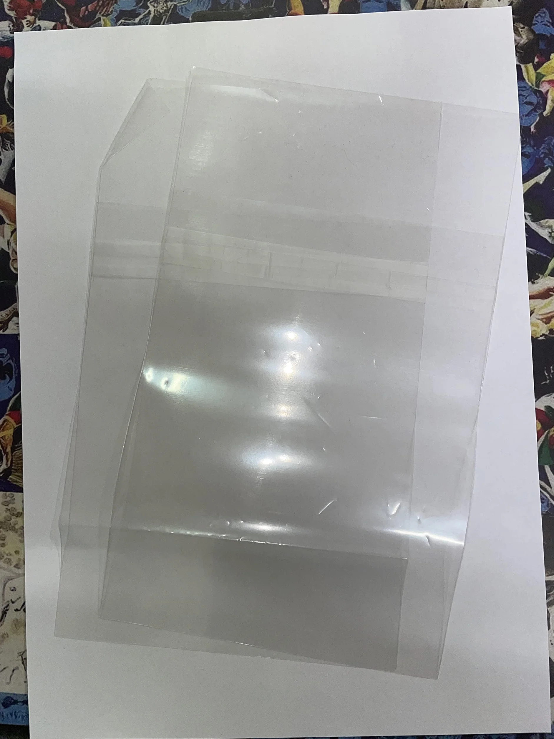 W.R. Buste 100 buste per fumetti formato Manga 2