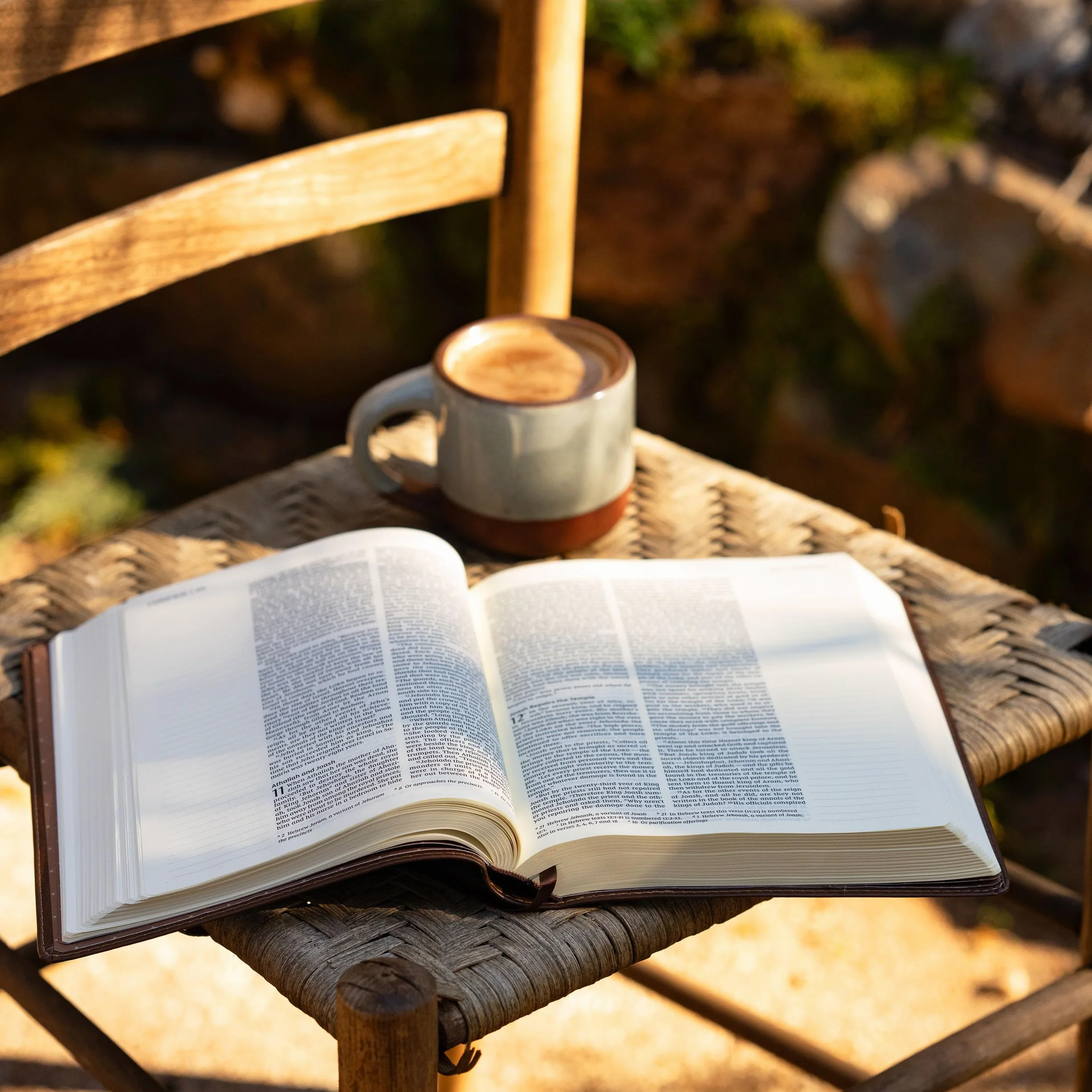 Bibbia NIV, Bibbia sacra personalizzata, nuova versione internazionale (Cantico di Salomone)