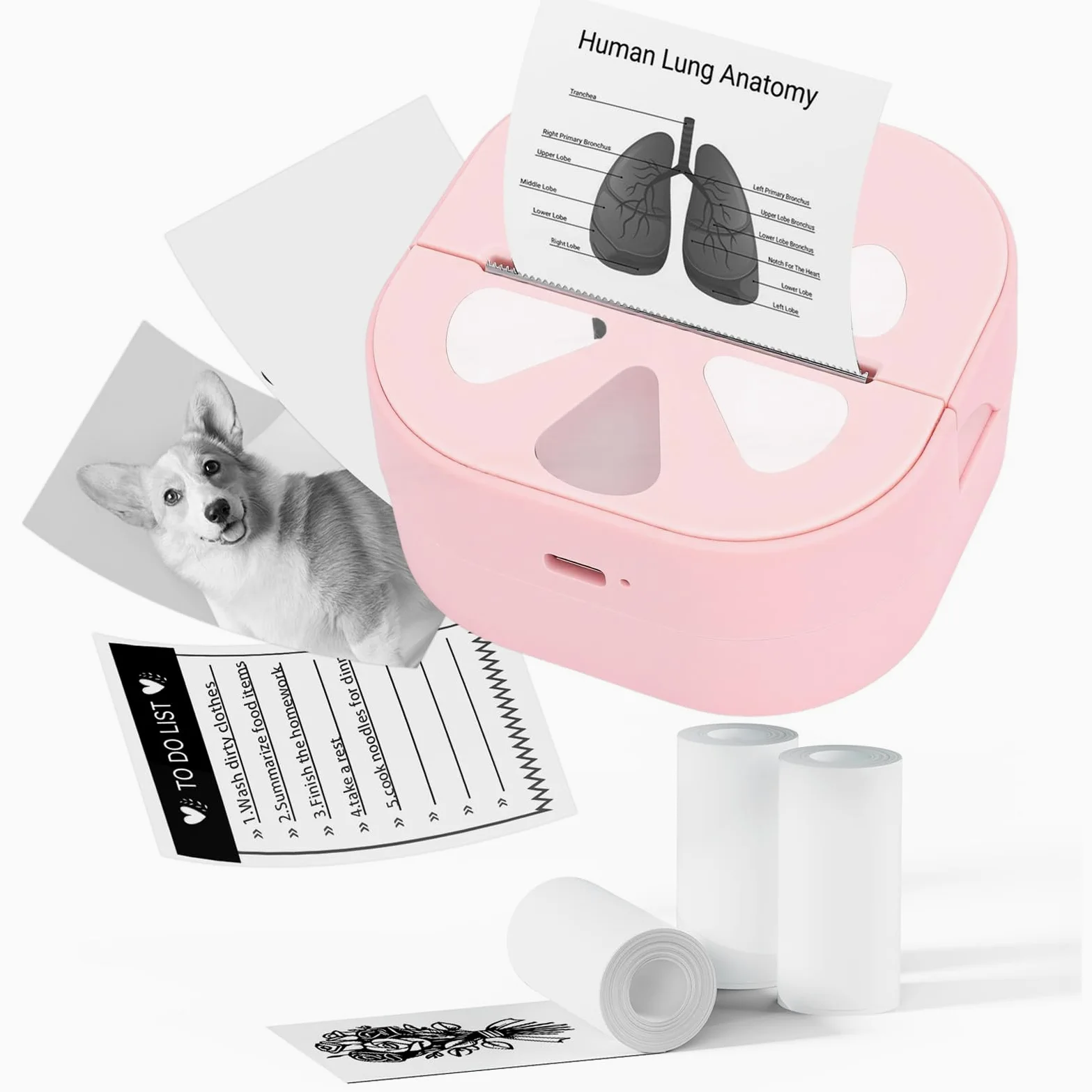 Mini Stampante per Adesivi, Etichettatrice Termica Portatile con App di Stampa, per Casa, Ufficio, Scuola, Regalo di Natale, Bambini e Donne