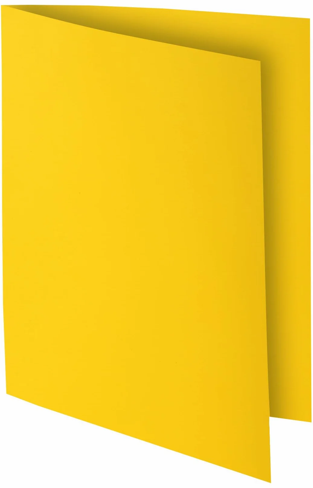 Exacompta 55545E Cartelle Semplici, 24x32 + 22x31 cm, Multicolore