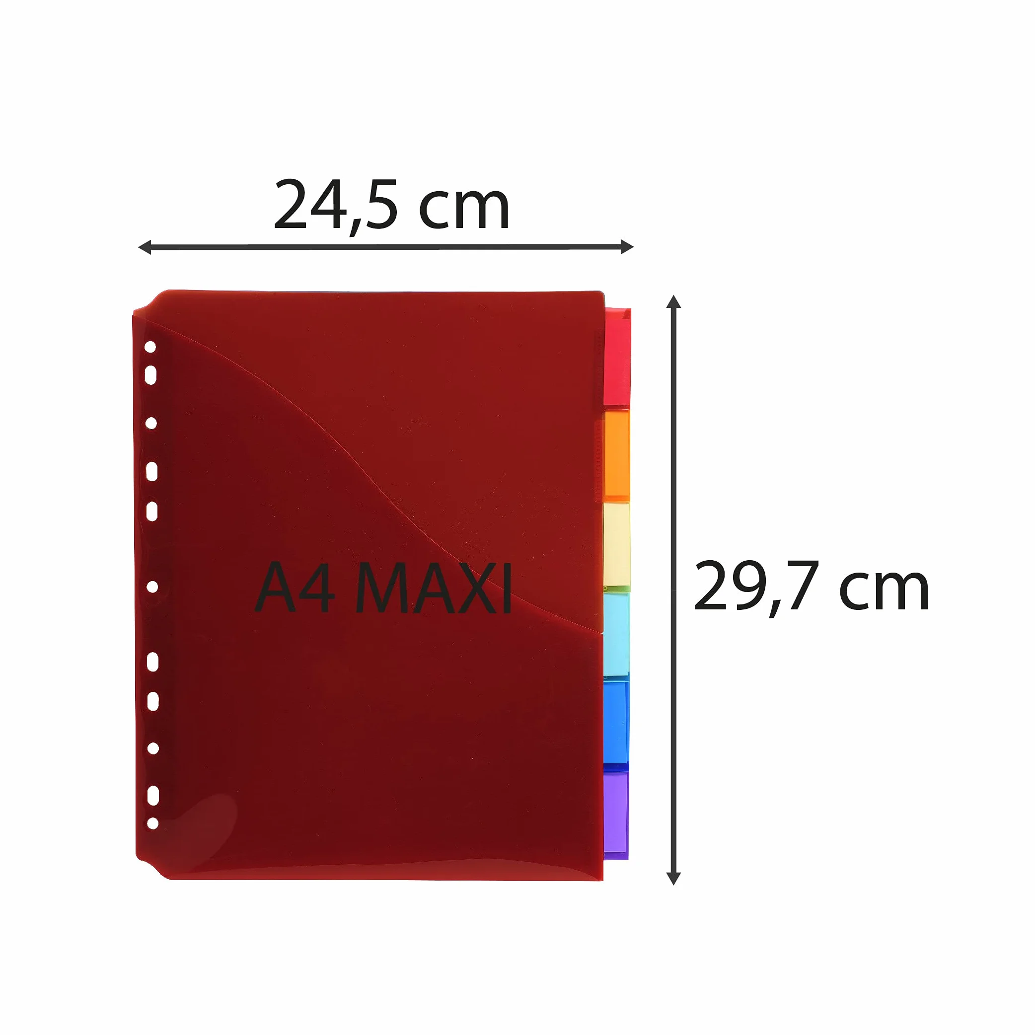 Exacompta Divisori e Segnaletica 6 sezioni Multicolore 25x30 cm A4 maxi