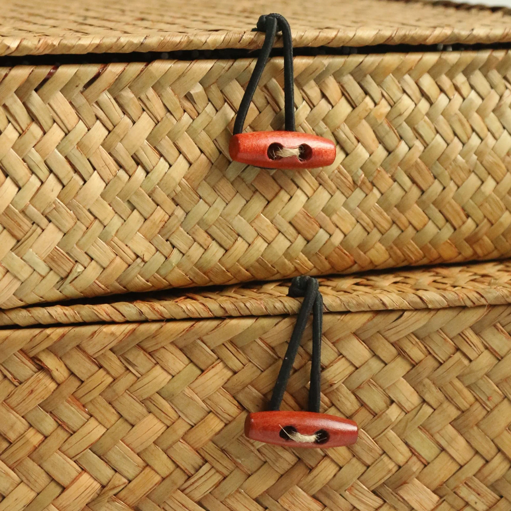 FEILANDUO Cesti portaoggetti in vimini con coperchi, per organizzare ripiani in alghe marine naturali, in rattan intrecciato, stile bohémien, decorazione per la casa, set di 2 (naturale)