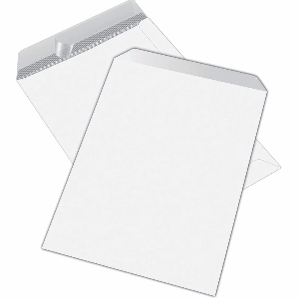 Buste Postali a Sacco Monodex Blasetti 30x40cm 100 sztuk