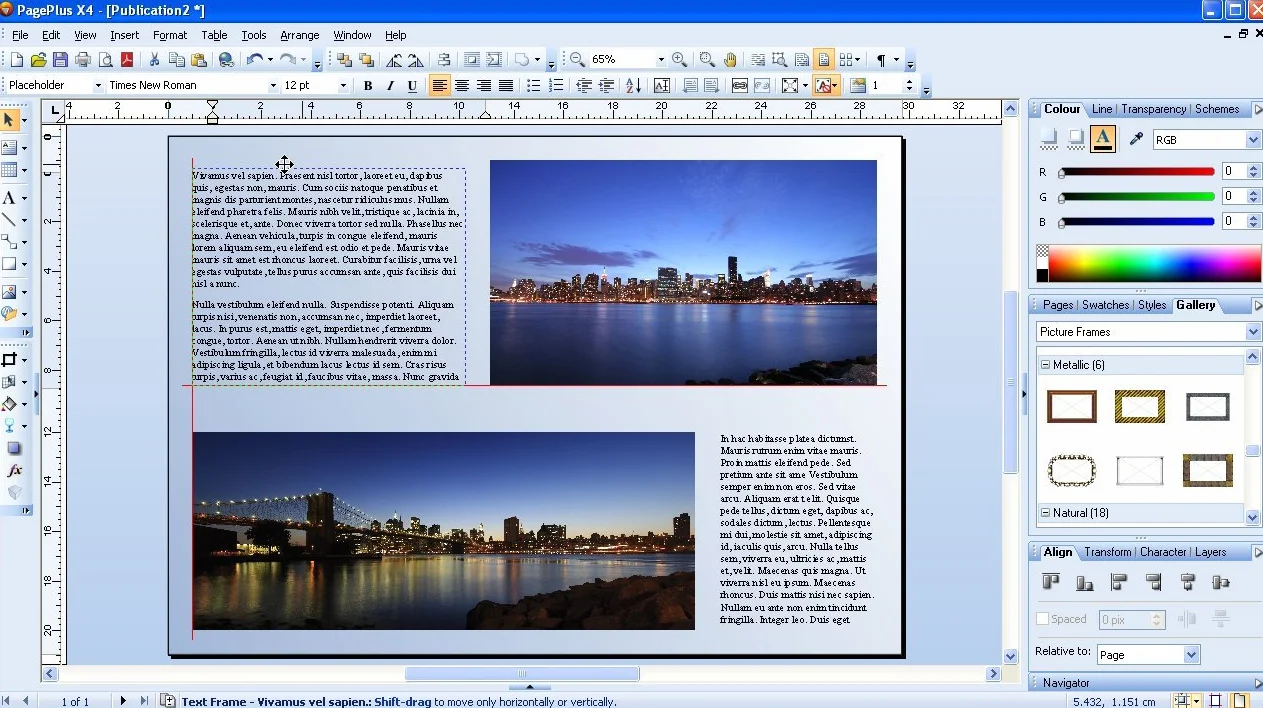 SERIF PAGEPLUS X4