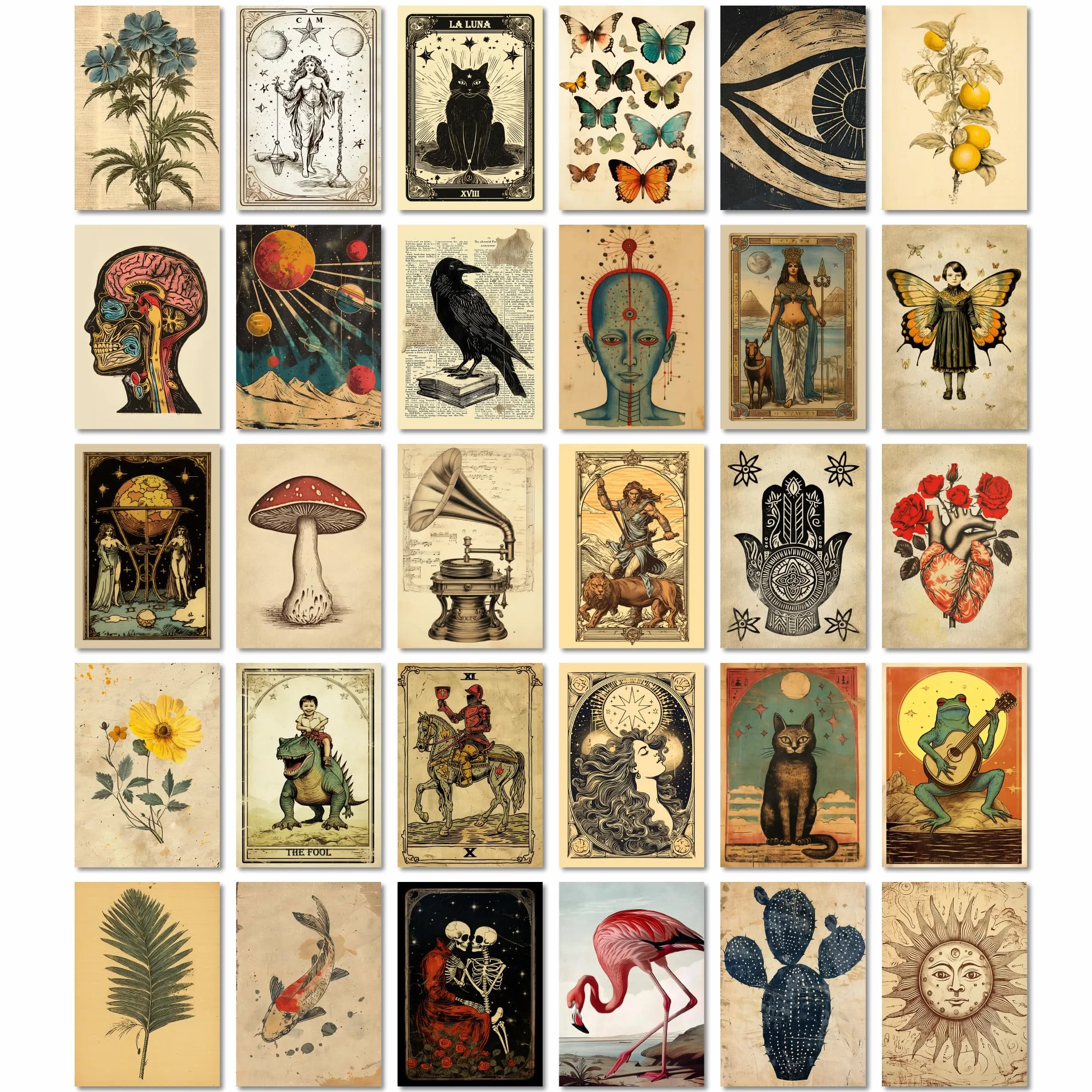 ARTFAVES Set di cartoline Tarocchi vintage I 30 diverse cartoline DIN A6
