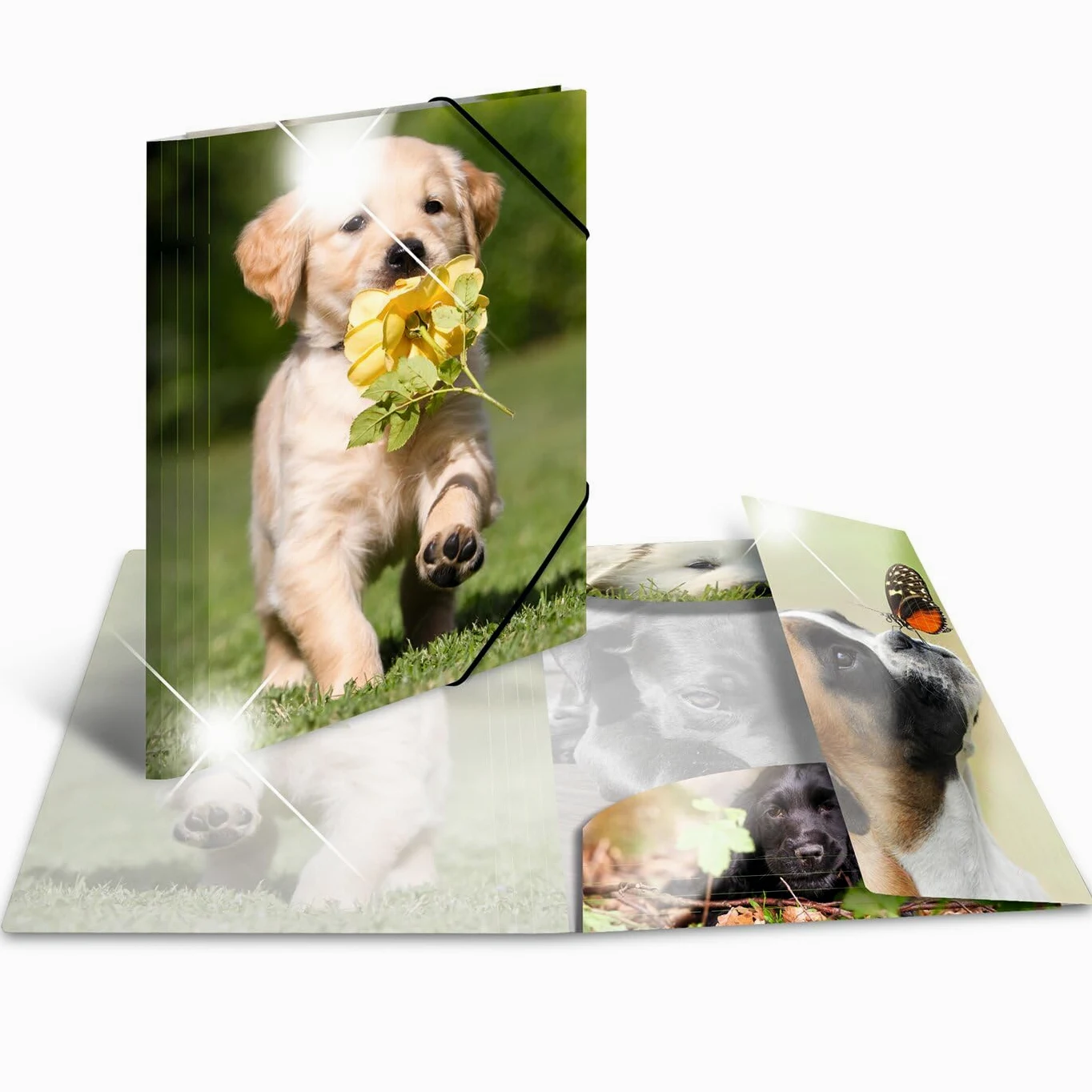 HERMA Set di 10 cartelline portadocumenti in plastica con motivo animale, effetto lucido, elastico, alette interne e stampa interna per ragazzi e ragazze