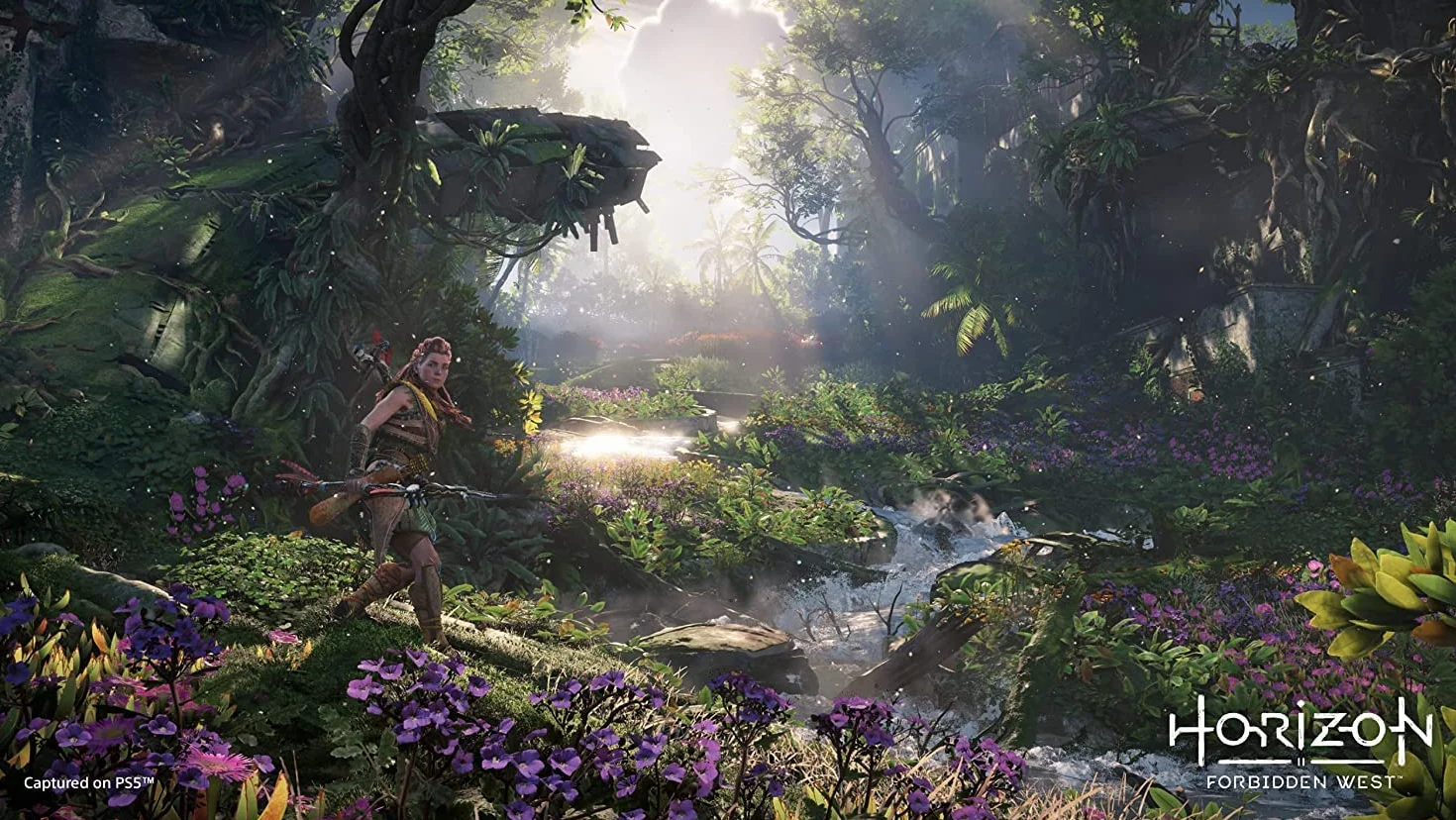 SONY HORIZON 2 FORBIDDEN WEST PS5