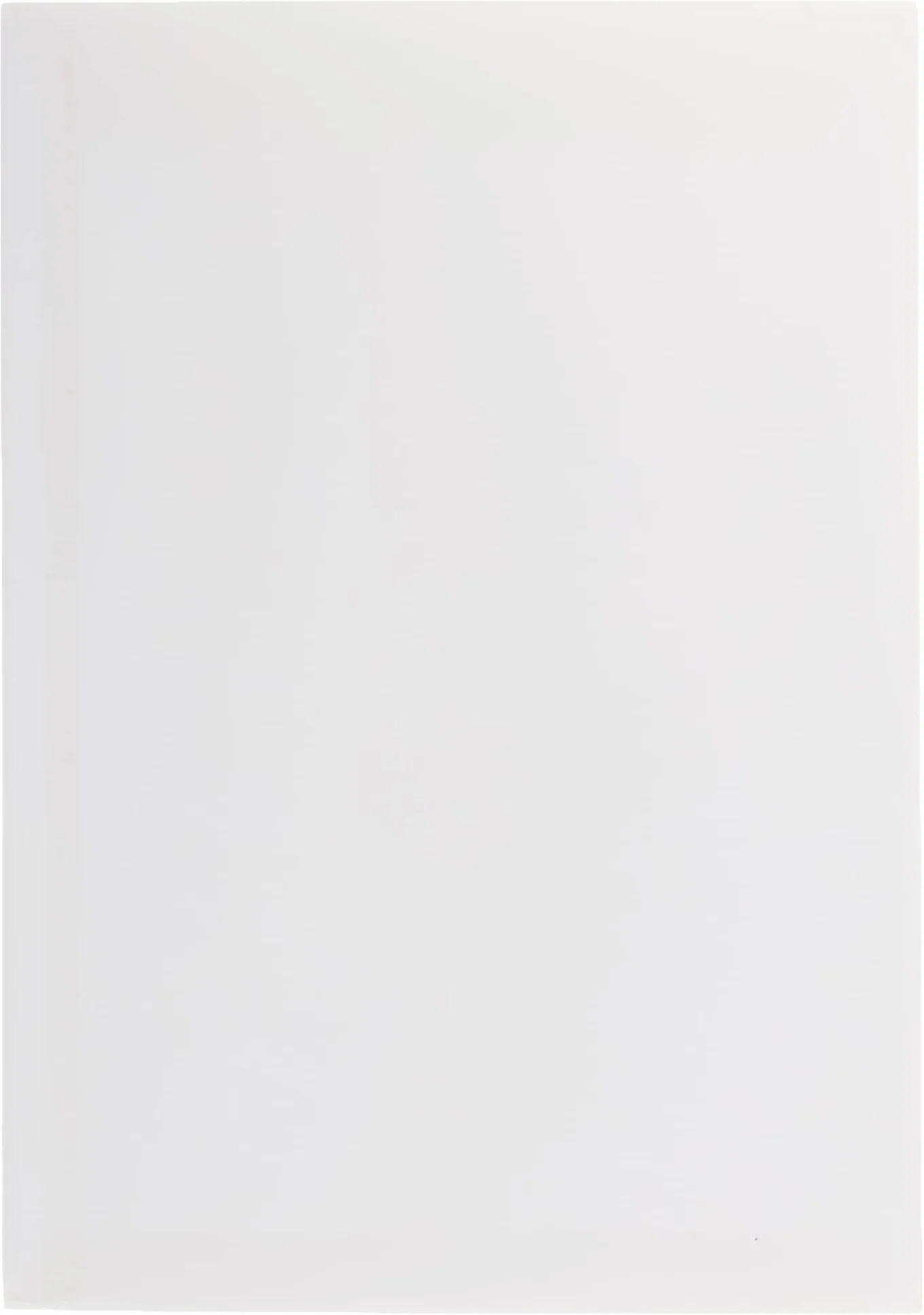 Buste formato C4 chiusura adesiva 100 gmq 324 x 229 mm bianco confezione da 250 pezzi