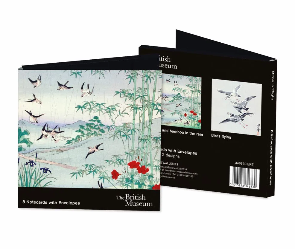 The British Museum Range Artistico biglietti bianchi uccelli in volo Confezione di 8 2 disegni