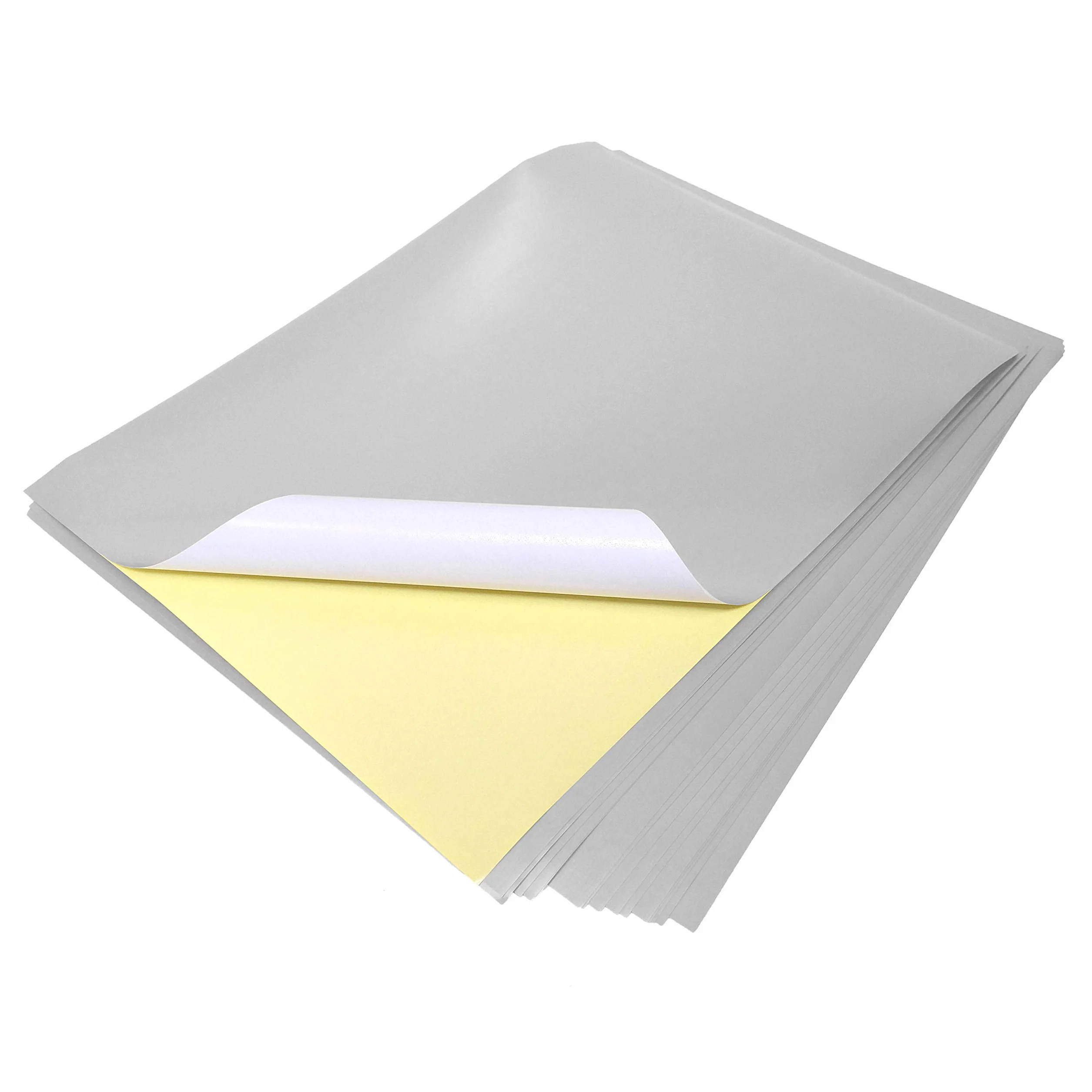Evergreen Goods 10 fogli A4 Metallic Silver etichette adesive stampabili al laser per artigianato