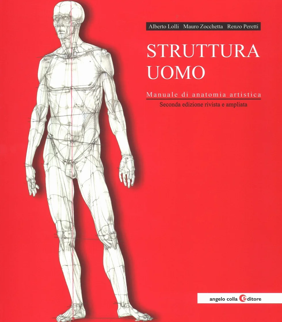 Struttura uomo. Manuale di anatomia artistica. Nuova ediz.