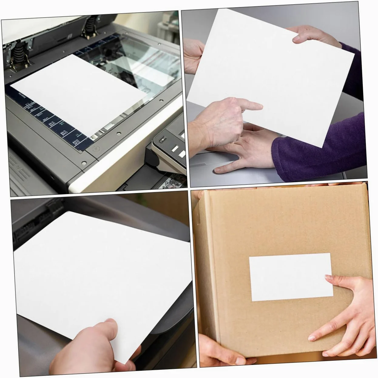 Etichette Adesive Stampabili A4 Carta Termica Autoadesiva Resistente Graffi Leggera da 100 Fogli per Domestico e Prezzo