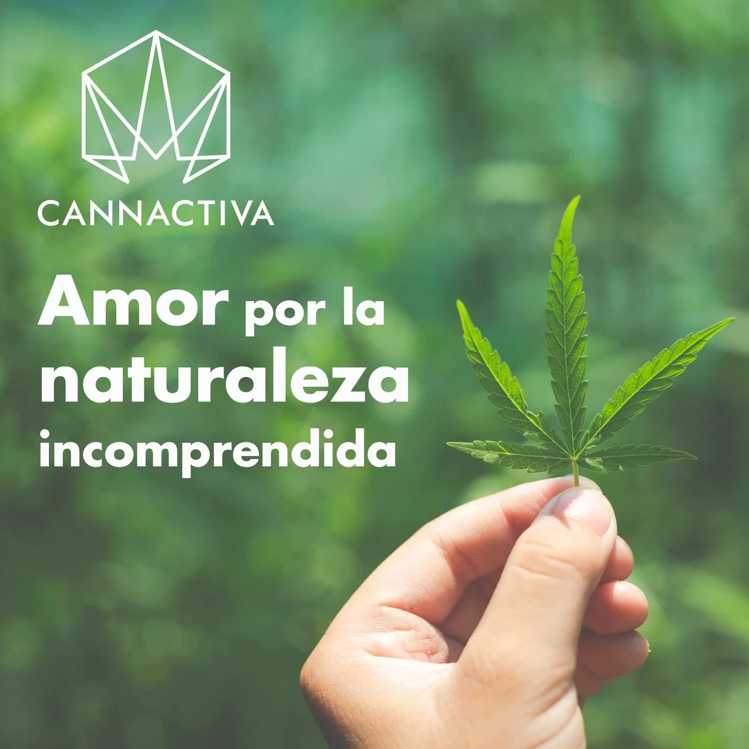 Gel Activo con CBD Fisioterapia 300ml Cannactiva